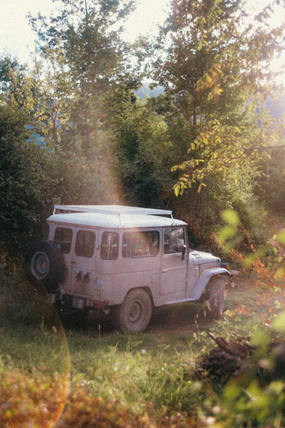 a white jeep driving through a lush green forest