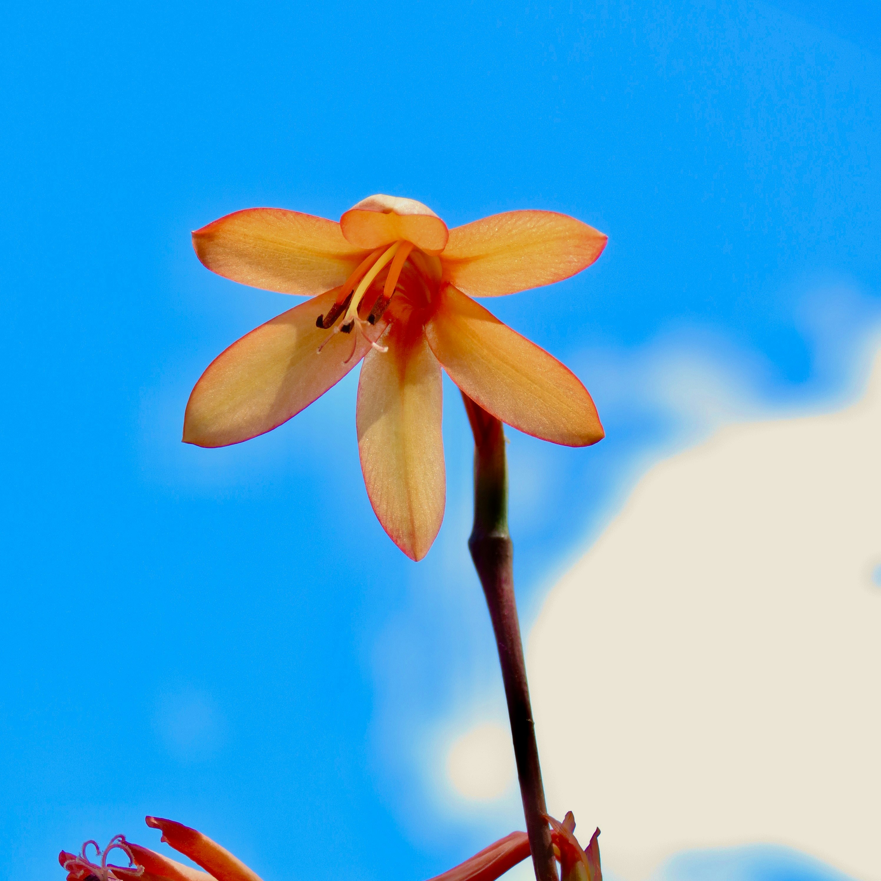 Photo by photographyted