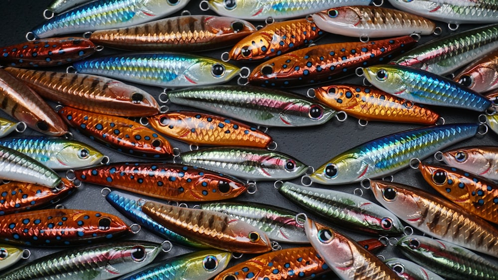 a bunch of fish that are on a table