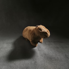 Close-up of trendy adult fashion items displayed with the capivara mascot nearby