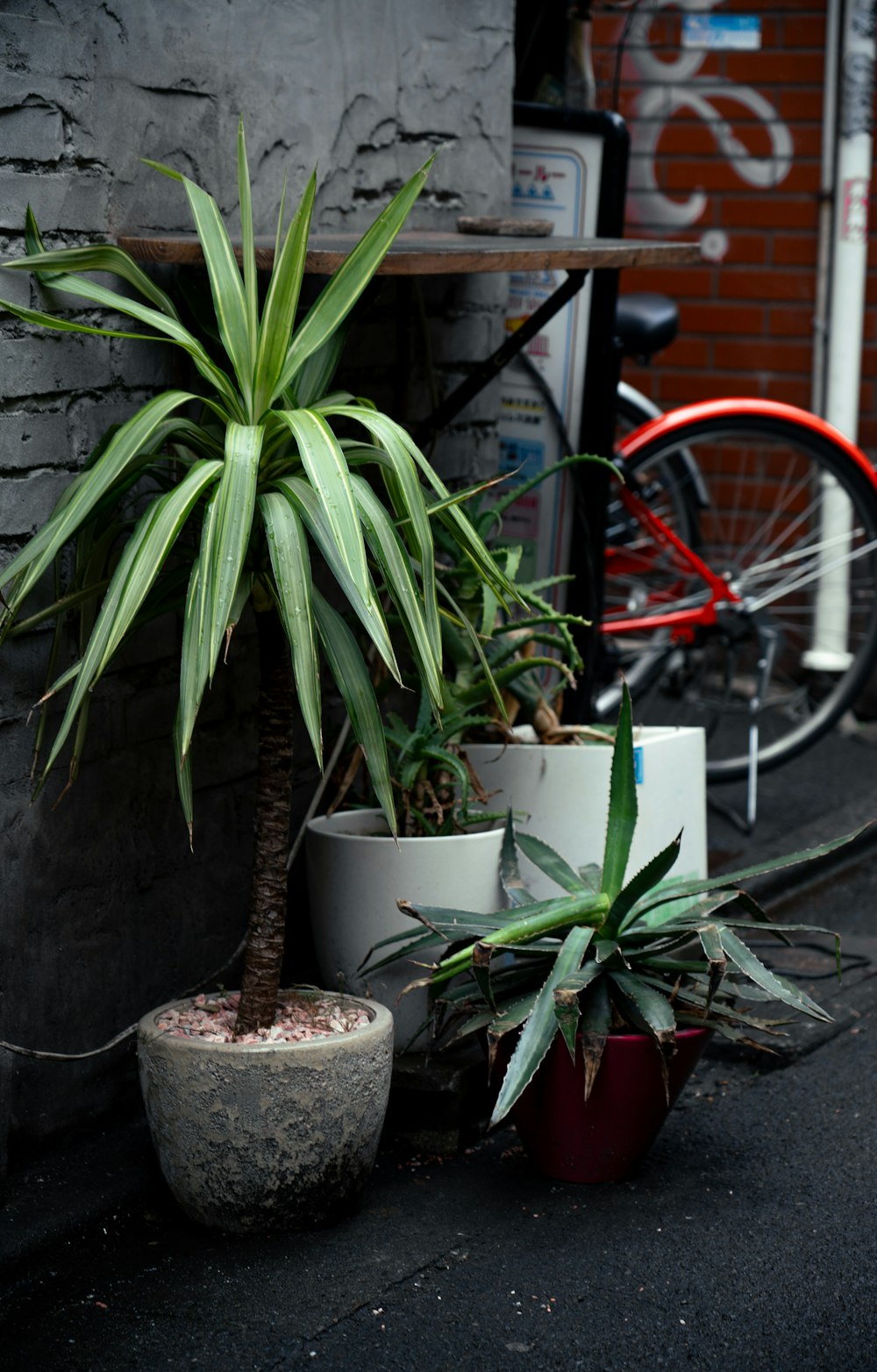 a couple of potted plants sitting next to a brick wall