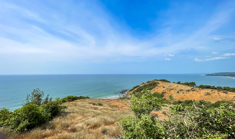 a scenic view of the ocean from a hill