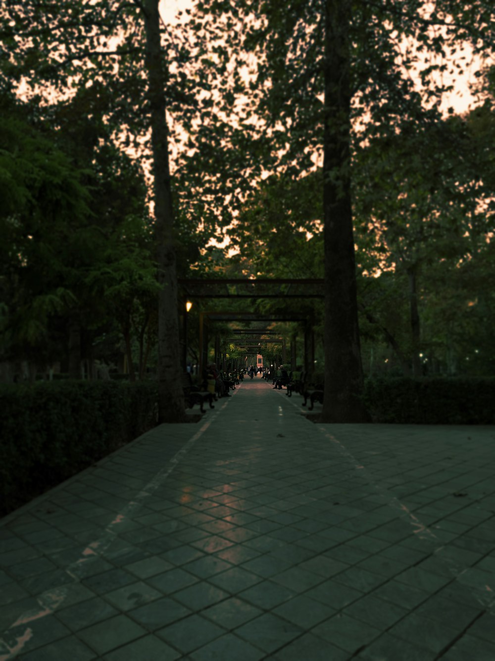 uma passarela em um parque com bancos e árvores