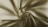 Smooth, flowing fabric with a silky texture, creating swirling patterns and subtle highlights.