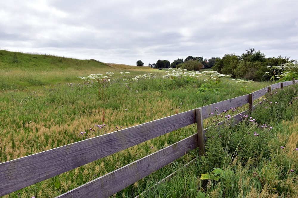 a wooden fence in a grassy field with wildflowers