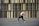 A person is dancing energetically in an open area with a modern building as the backdrop. The individual is wearing a white shirt, black pants, and white sneakers. Long red braids flow with the movement, conveying motion and style.