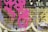 Vibrant pink spray paint drips over a weathered wall that has partial text reading 'Tel.' in faded yellow. Layers of peeling paint reveal several colors, including purple and white, adding texture to the surface.