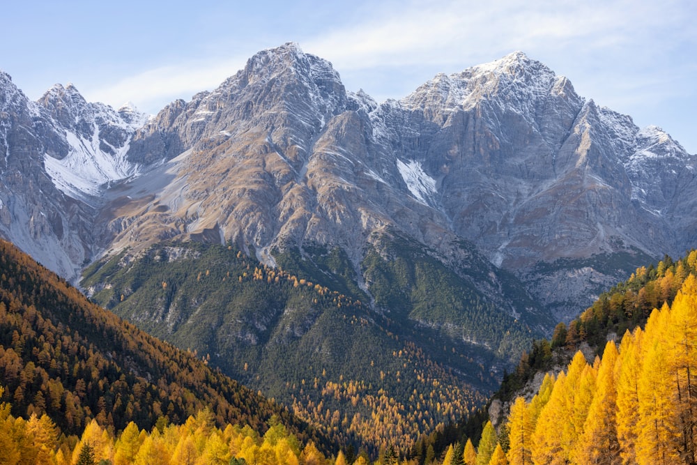 a view of a mountain range with trees in the foreground