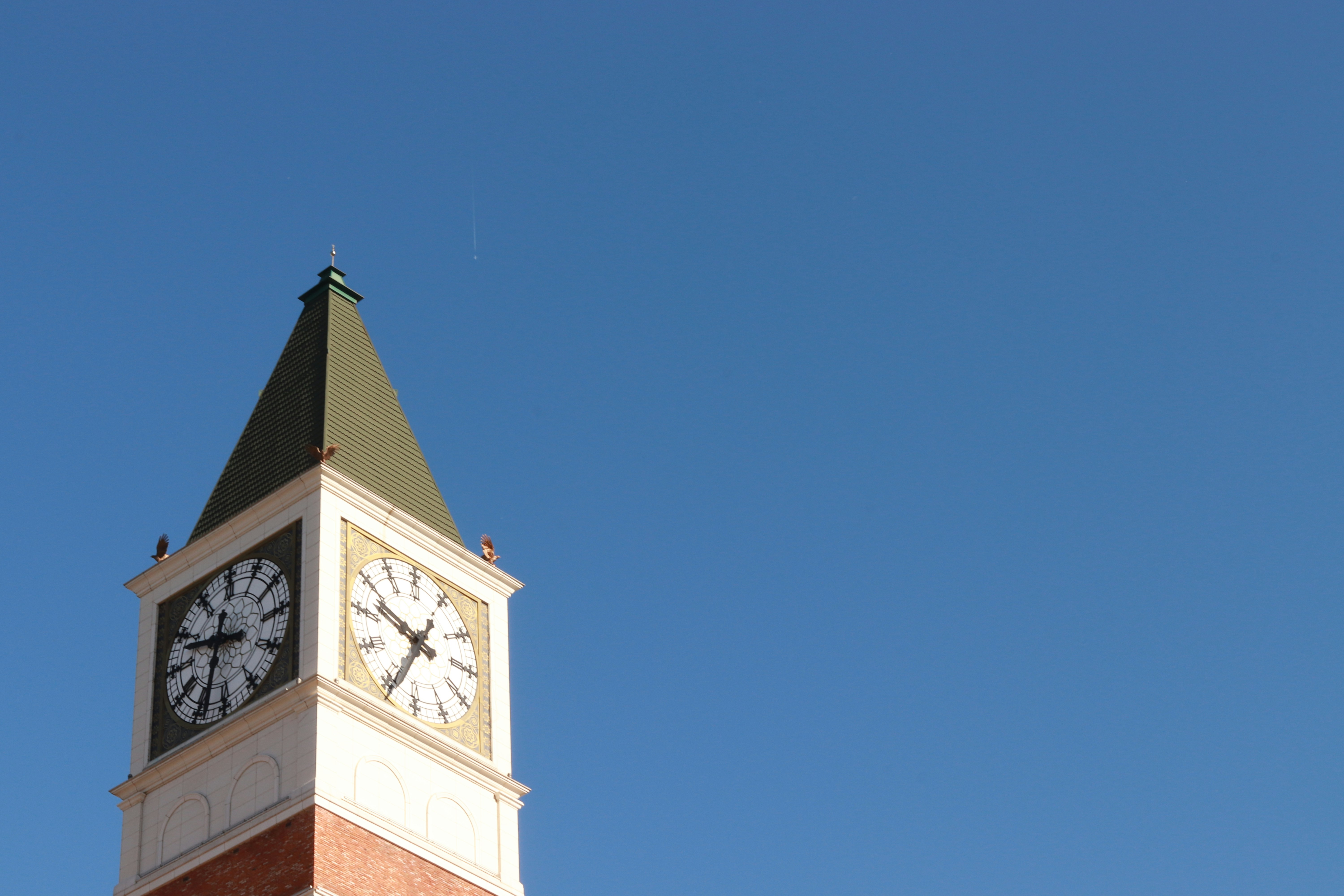 Photo by love4ladybug_pic