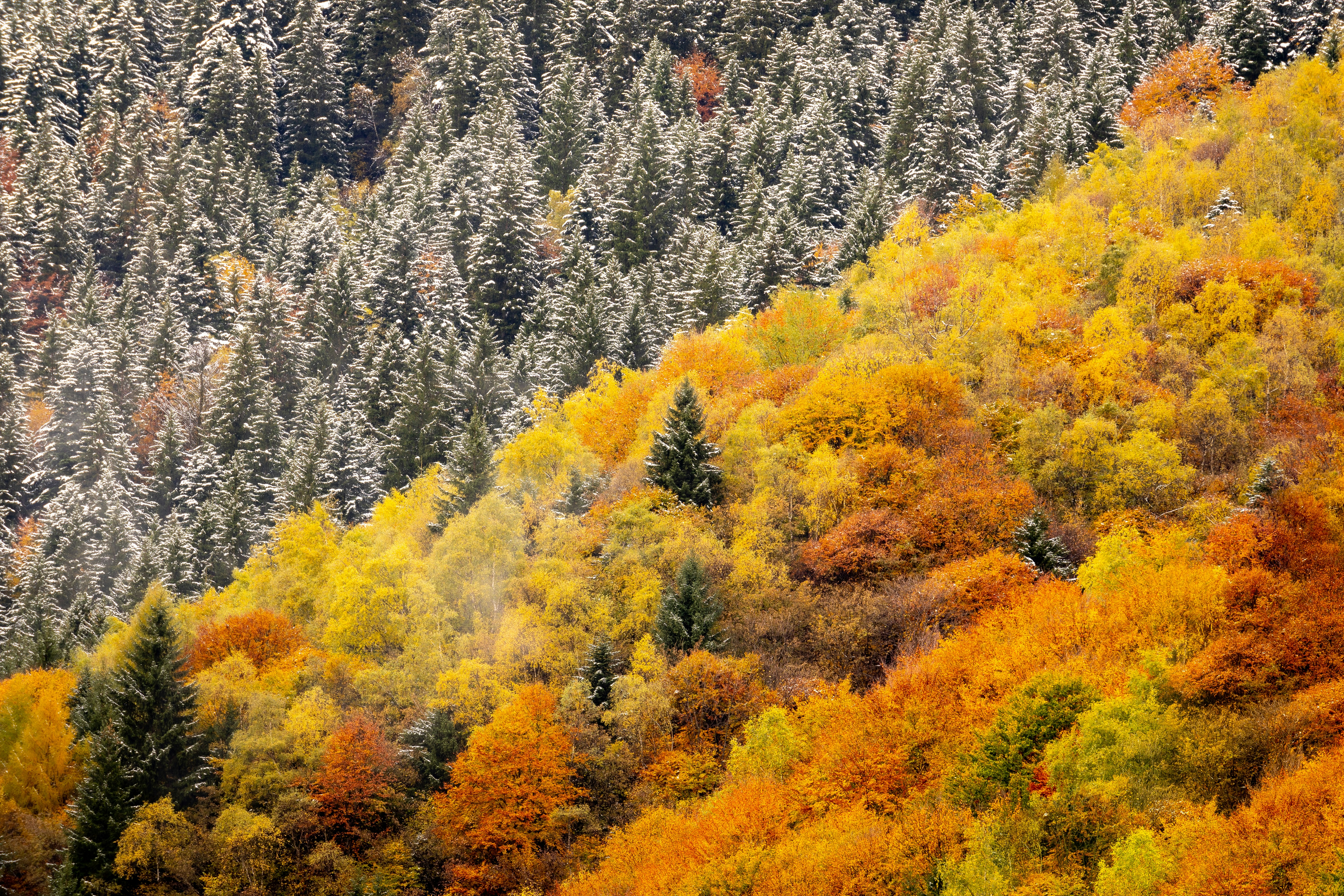 Photo by matteo_skyrider