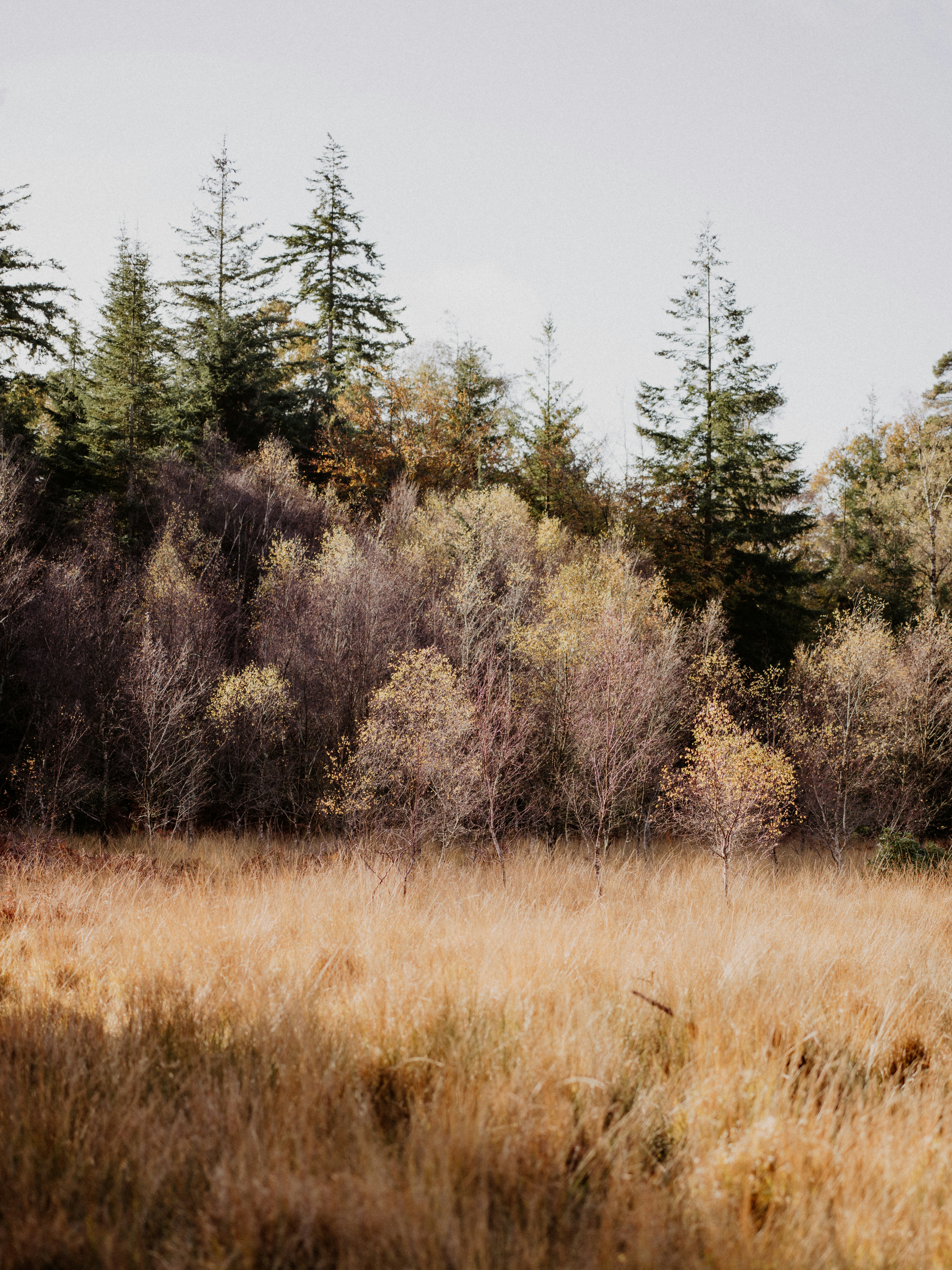 Photo by anniespratt