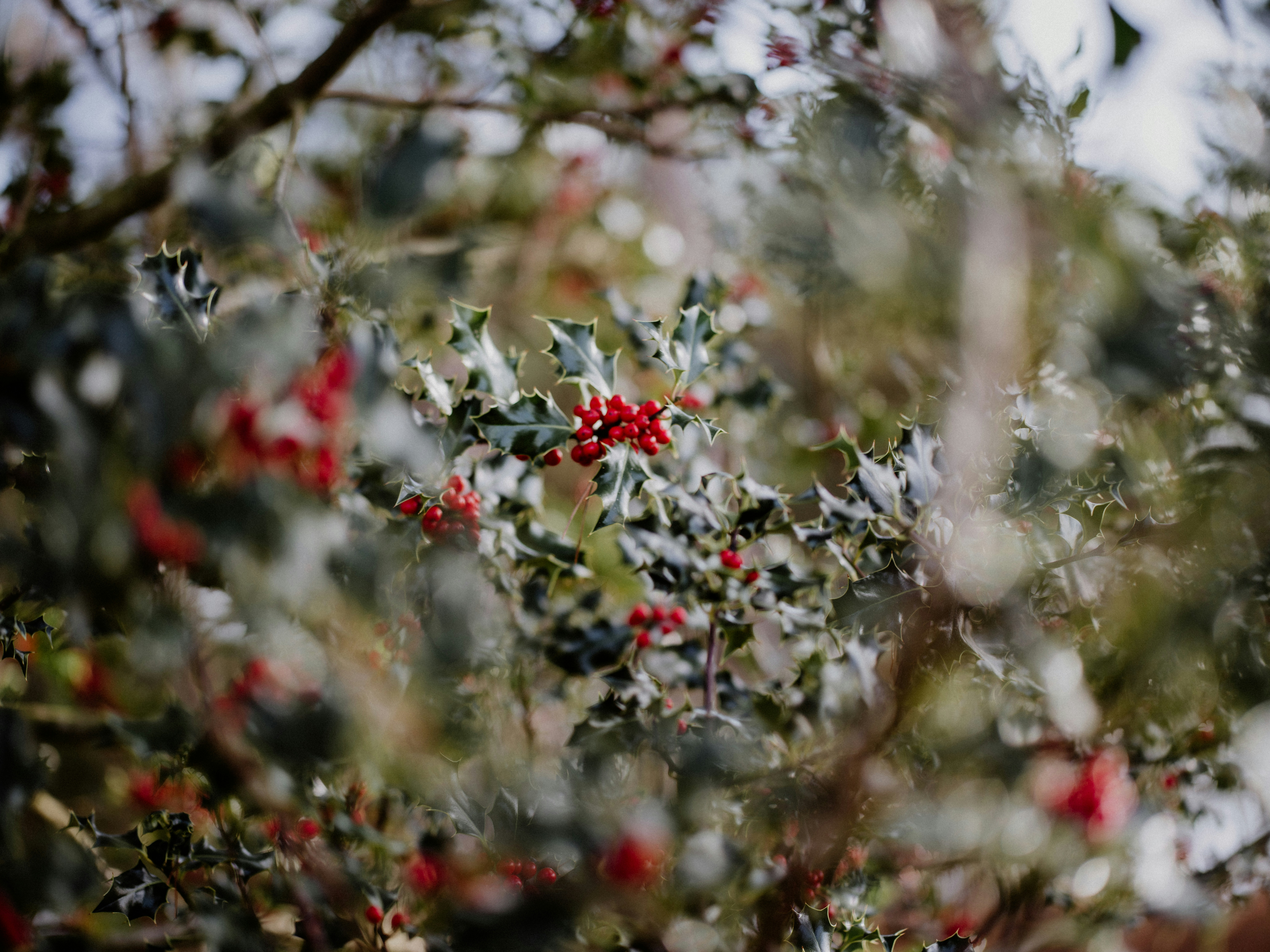 Photo by anniespratt