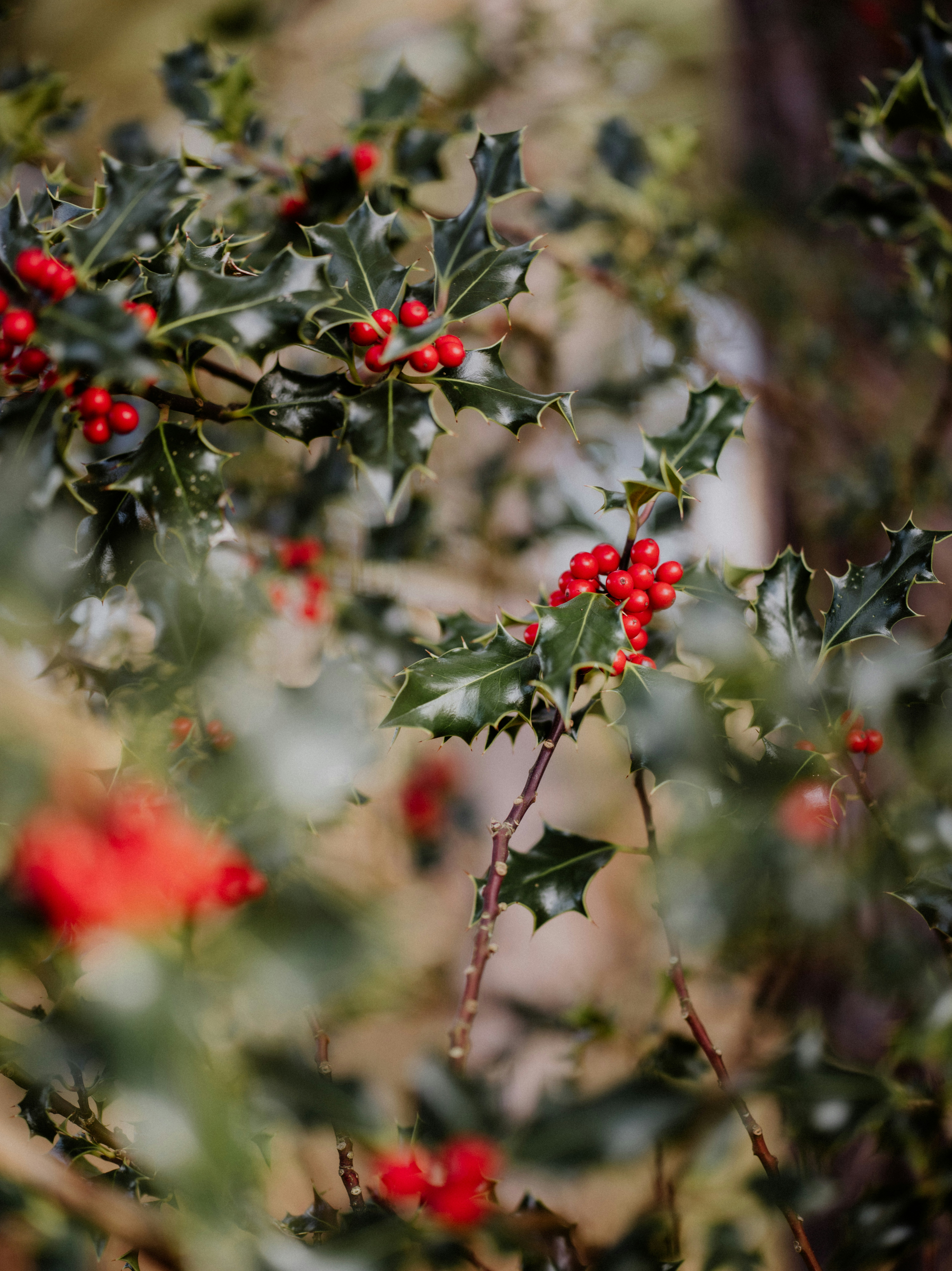 Photo by anniespratt