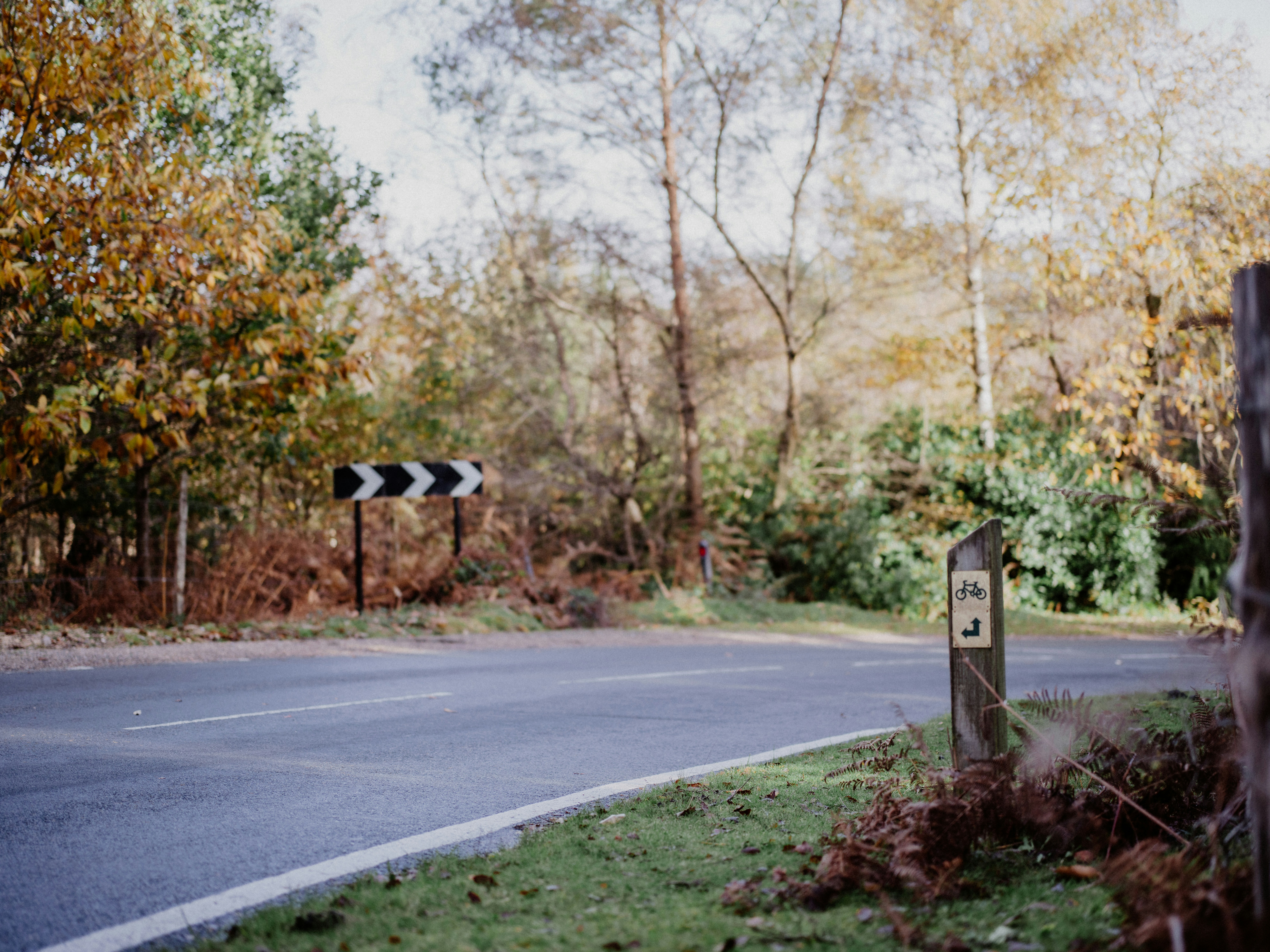 Photo by anniespratt