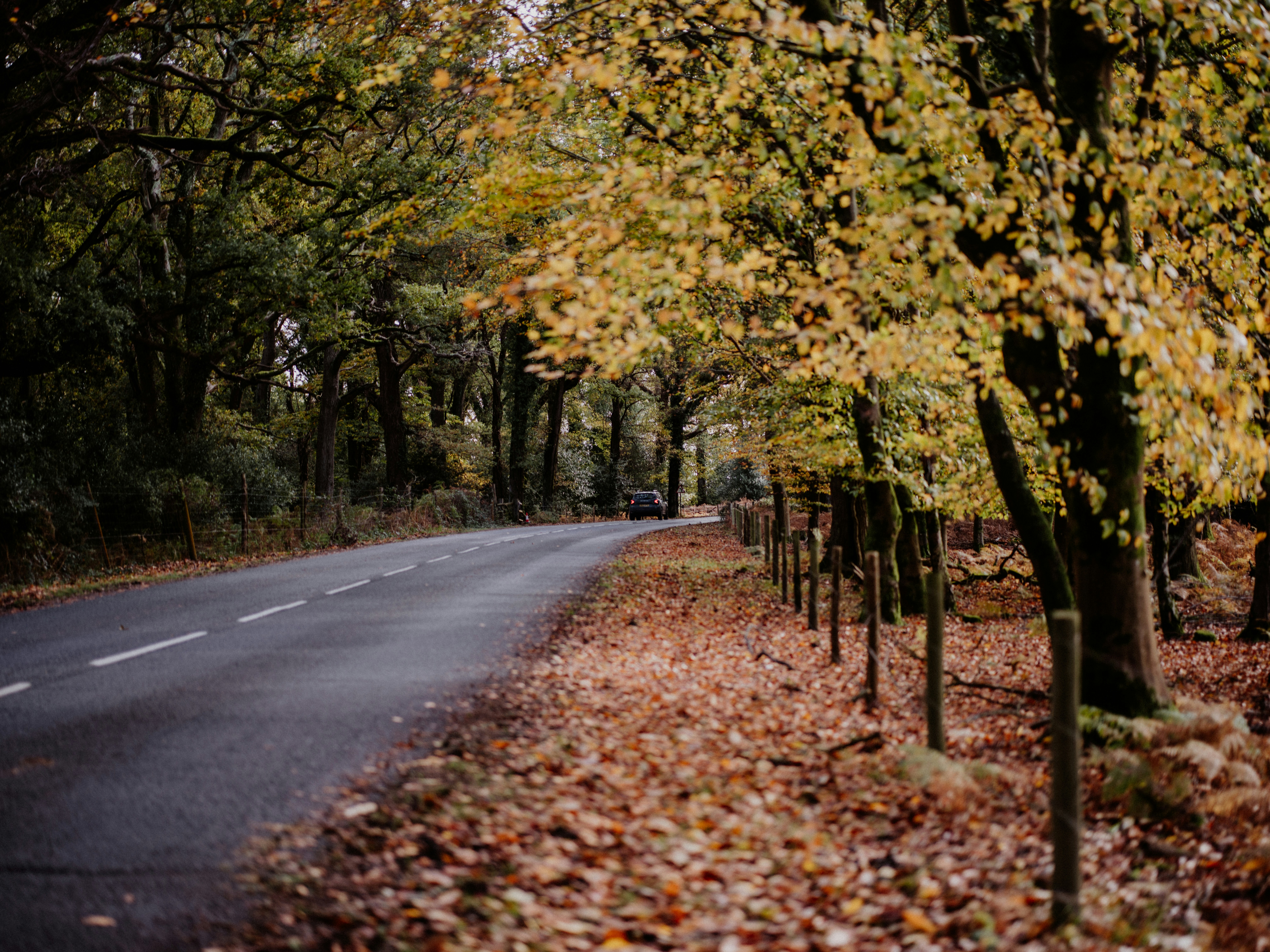 Photo by anniespratt