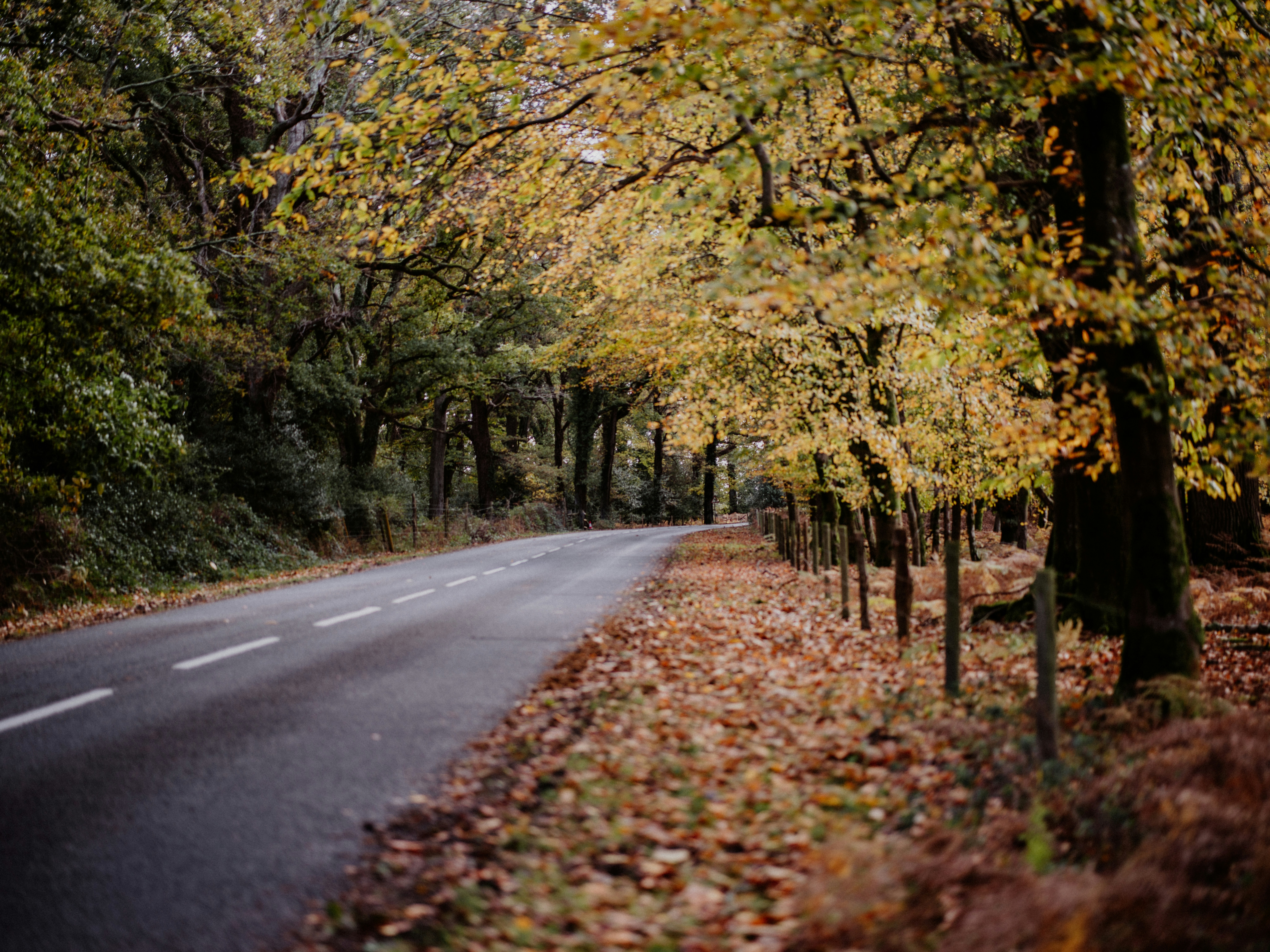 Photo by anniespratt