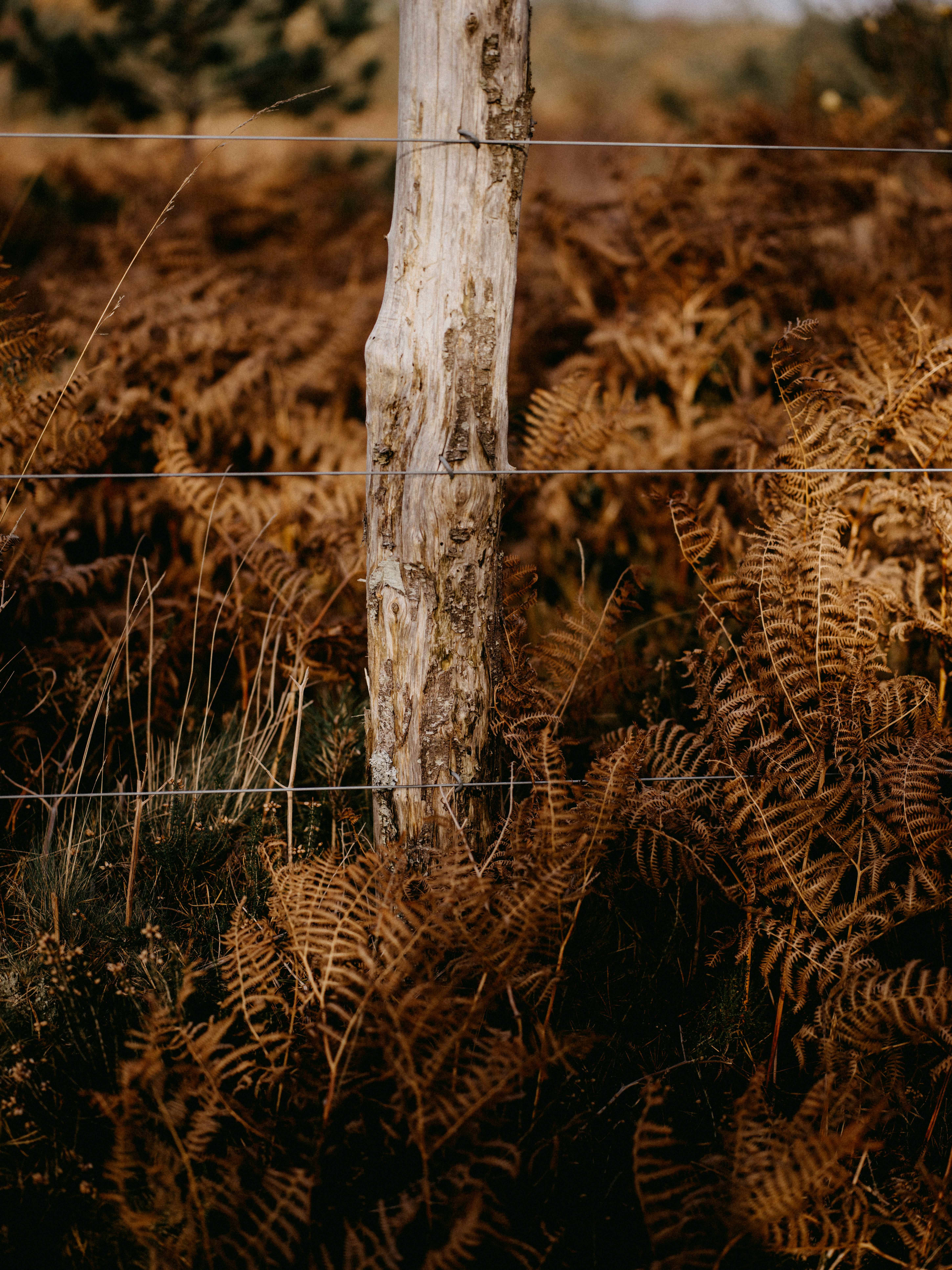 Photo by anniespratt