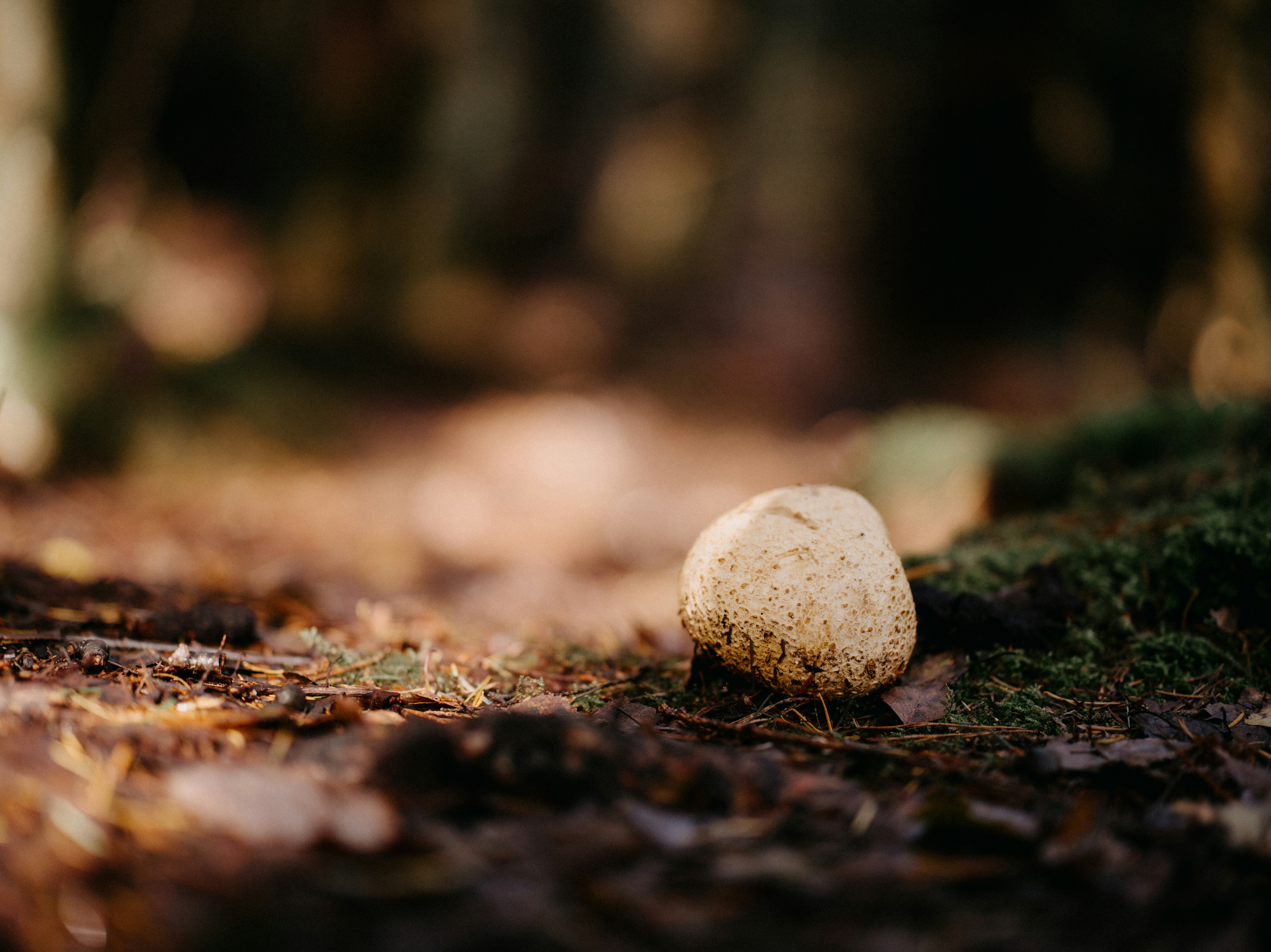 Photo by anniespratt