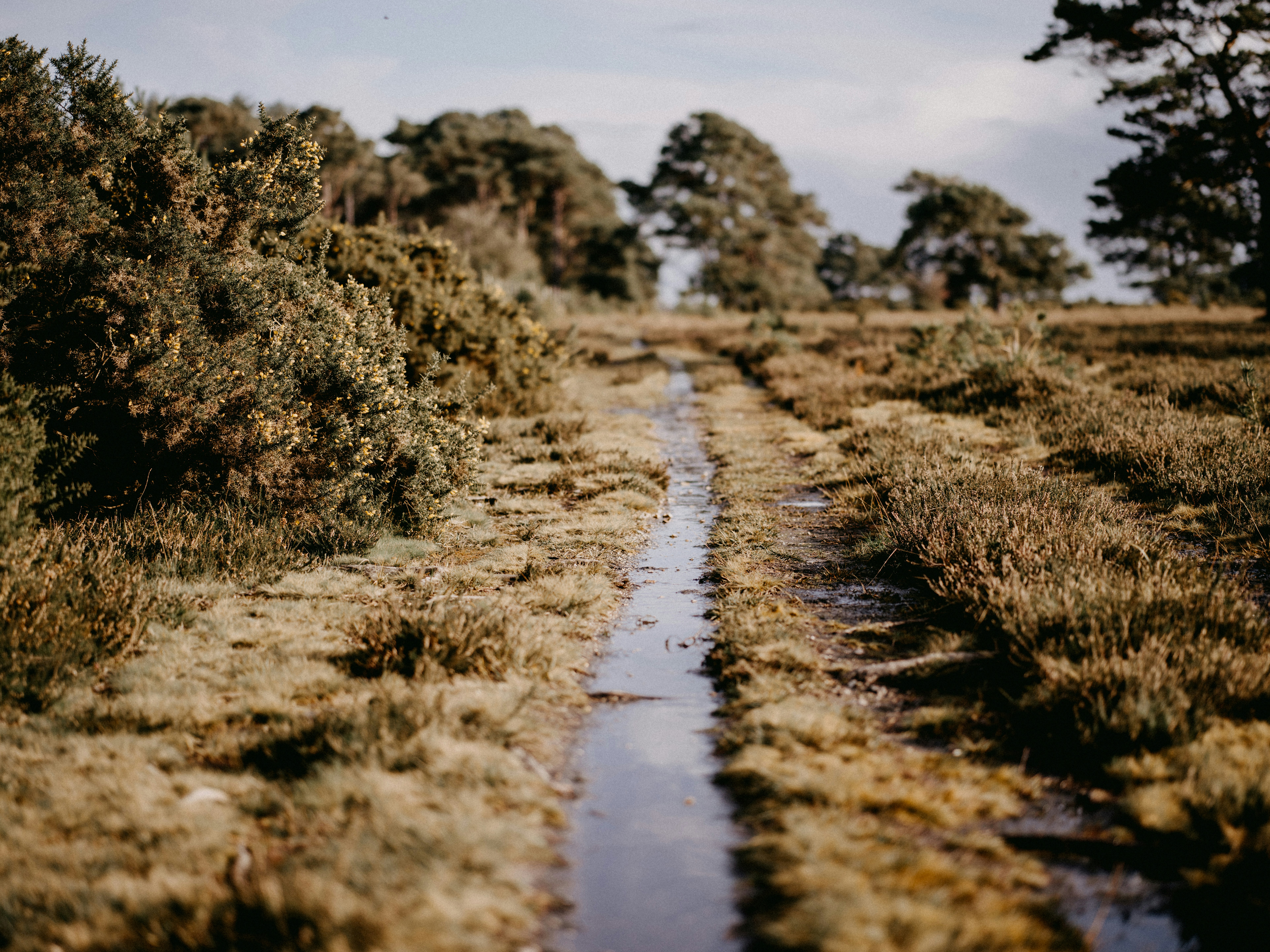 Photo by anniespratt