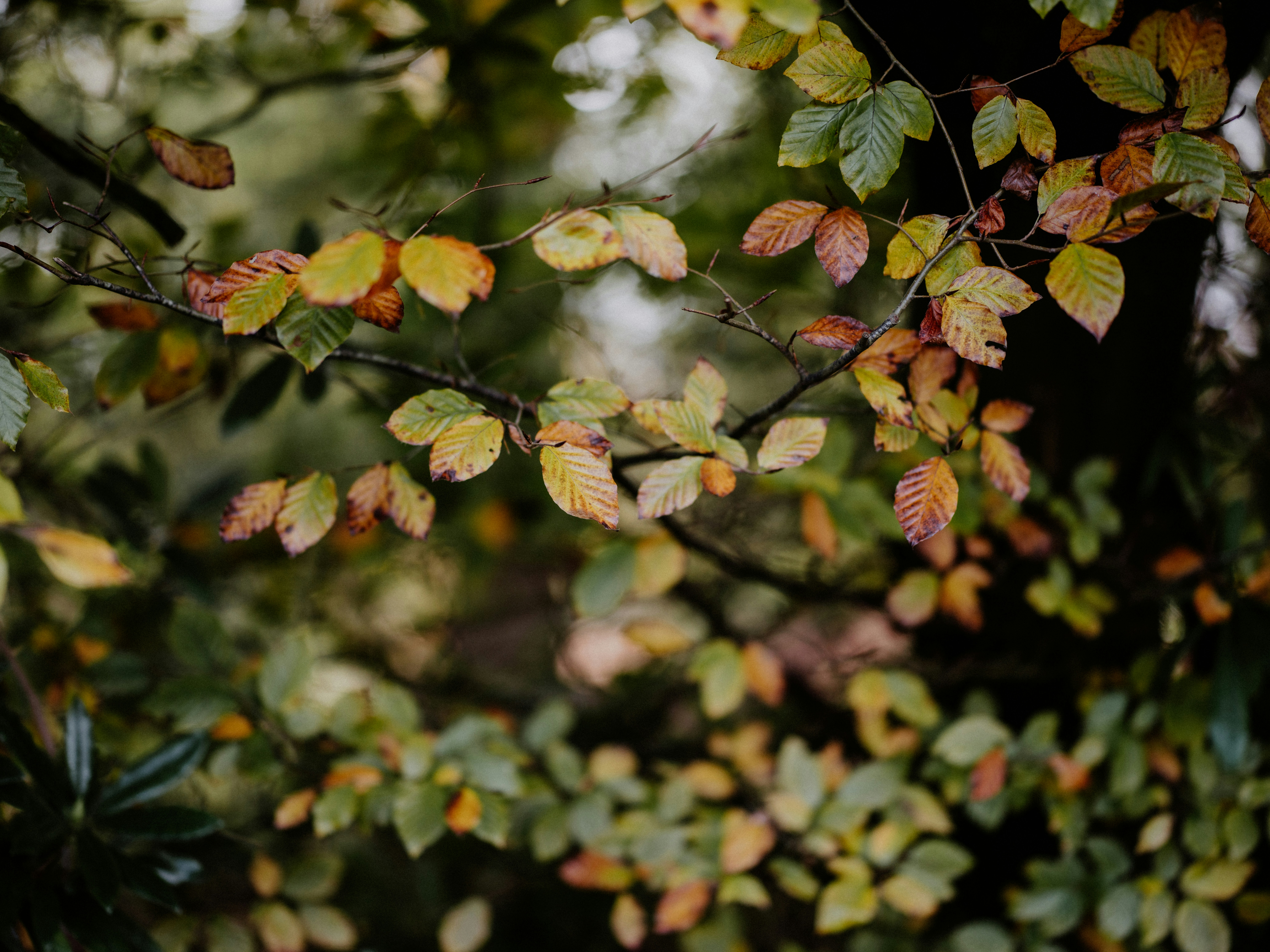 Photo by anniespratt