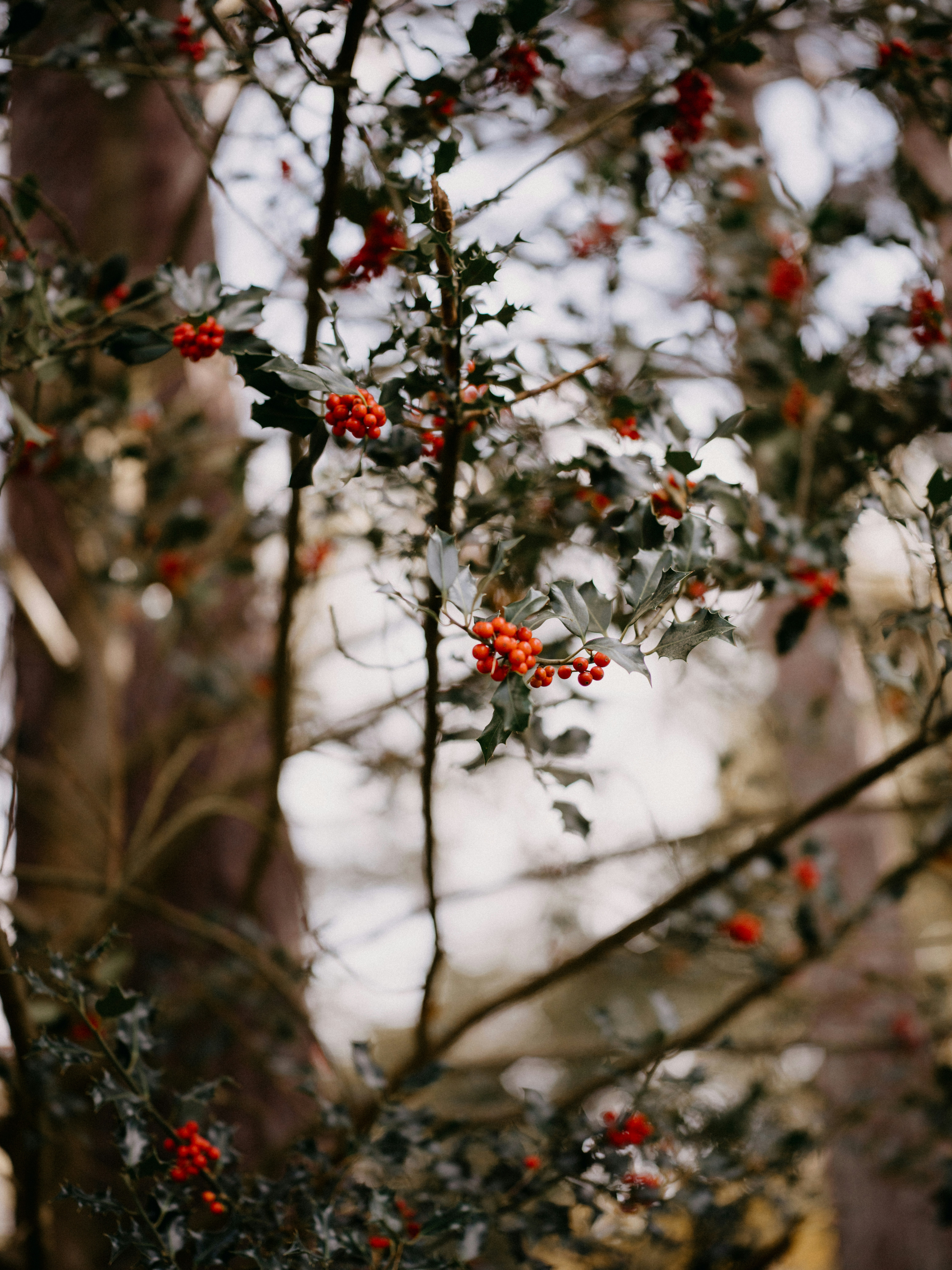 Photo by anniespratt