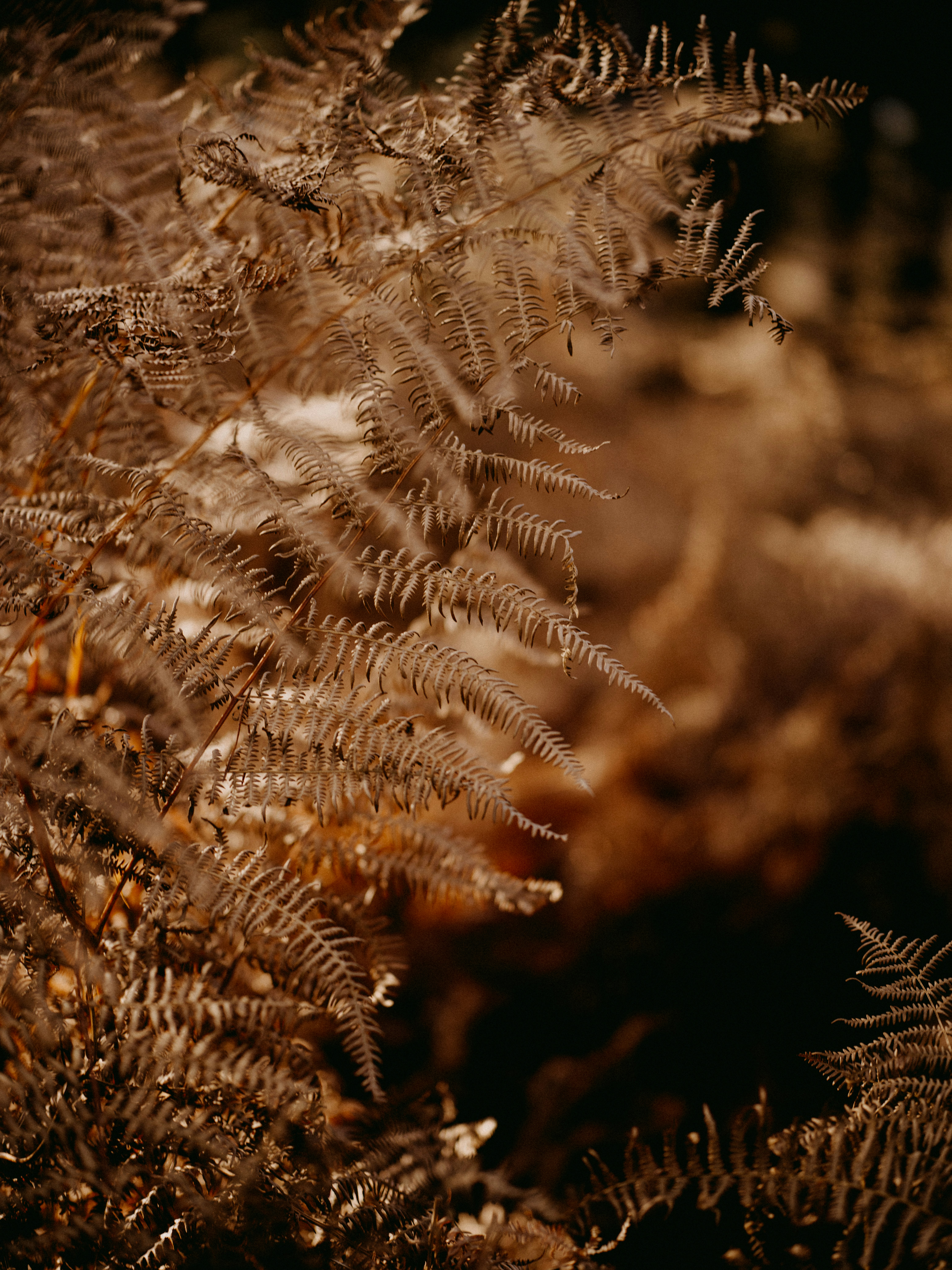 Photo by anniespratt