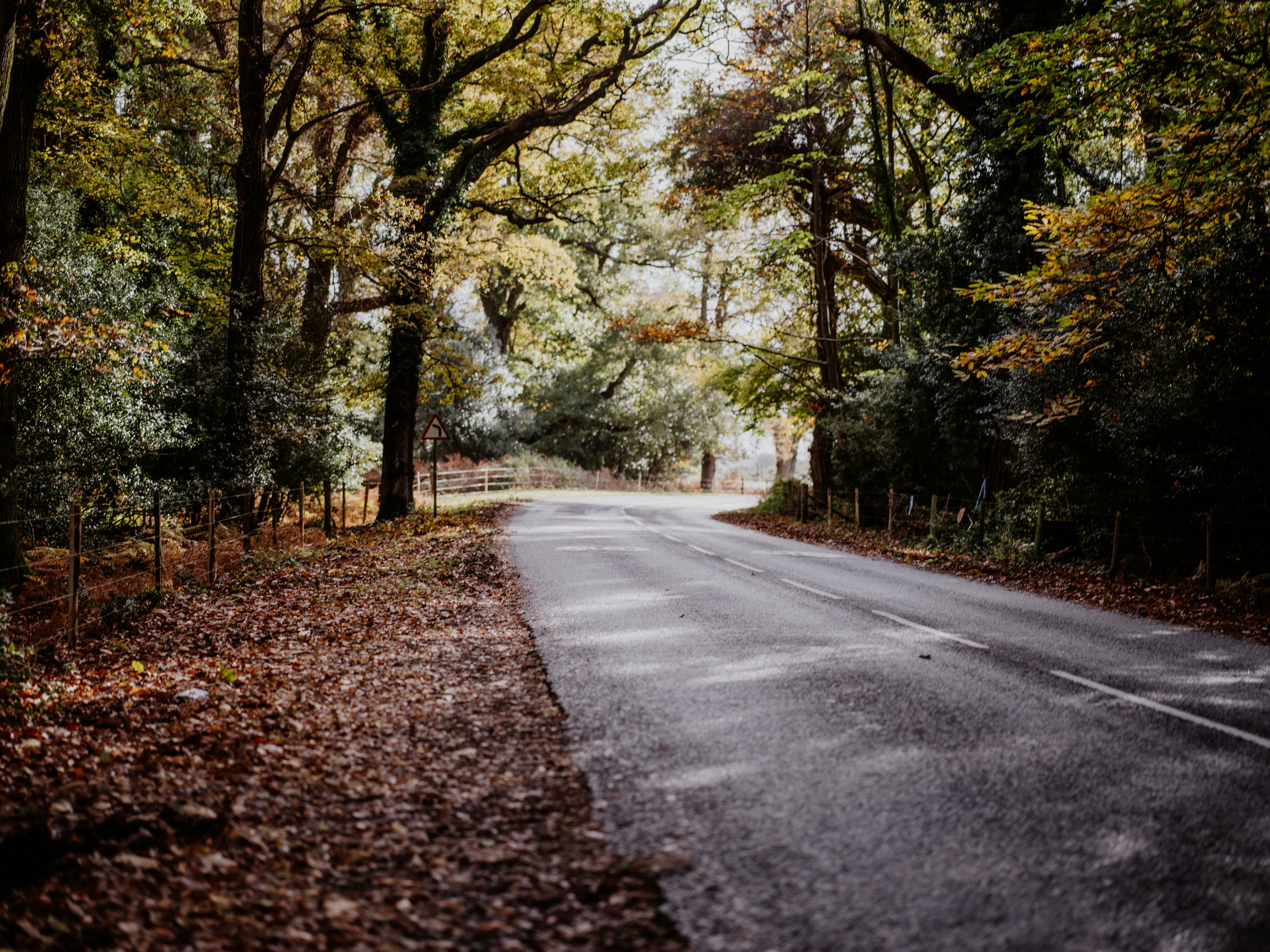 Photo by anniespratt