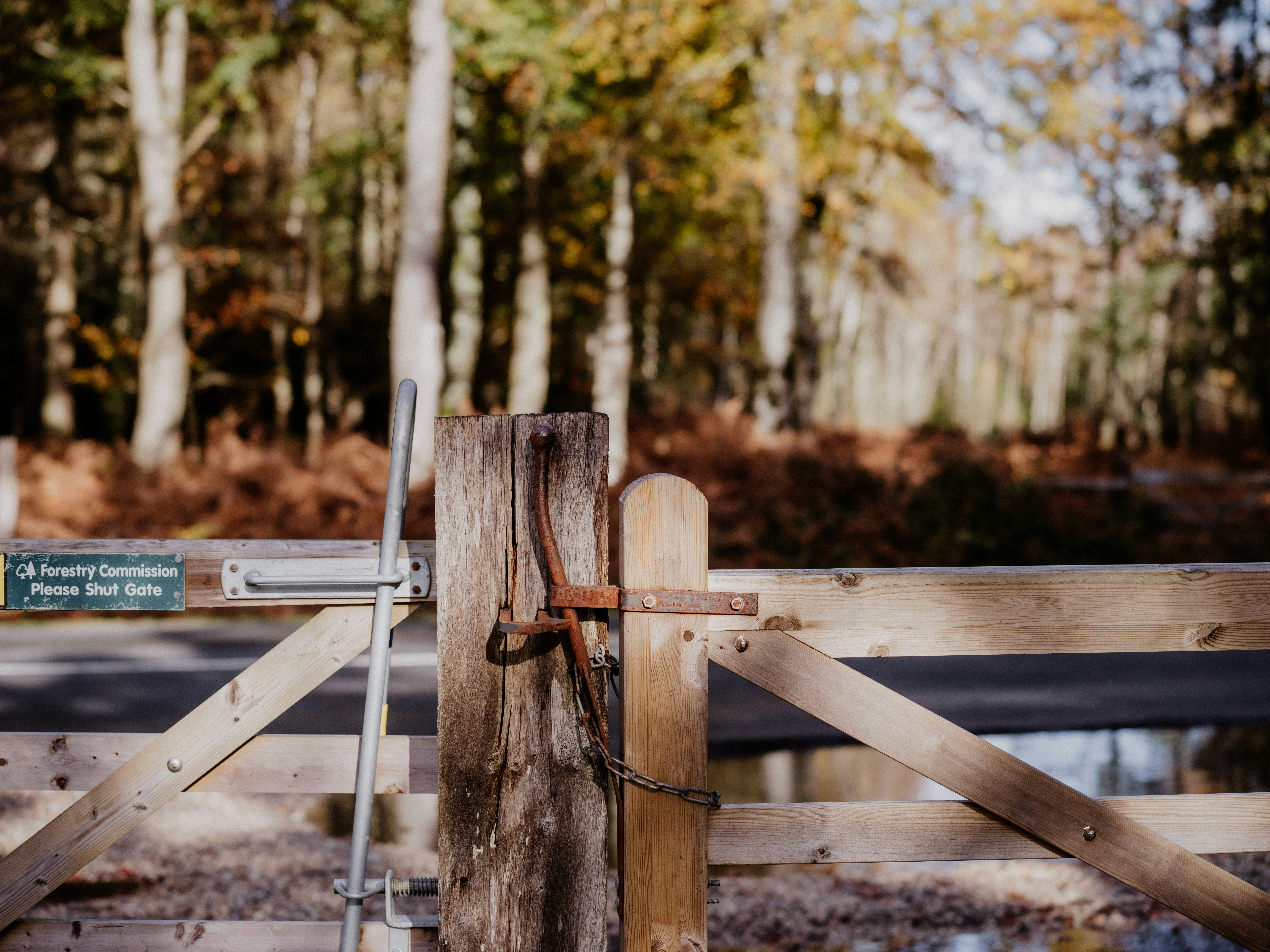 Photo by anniespratt