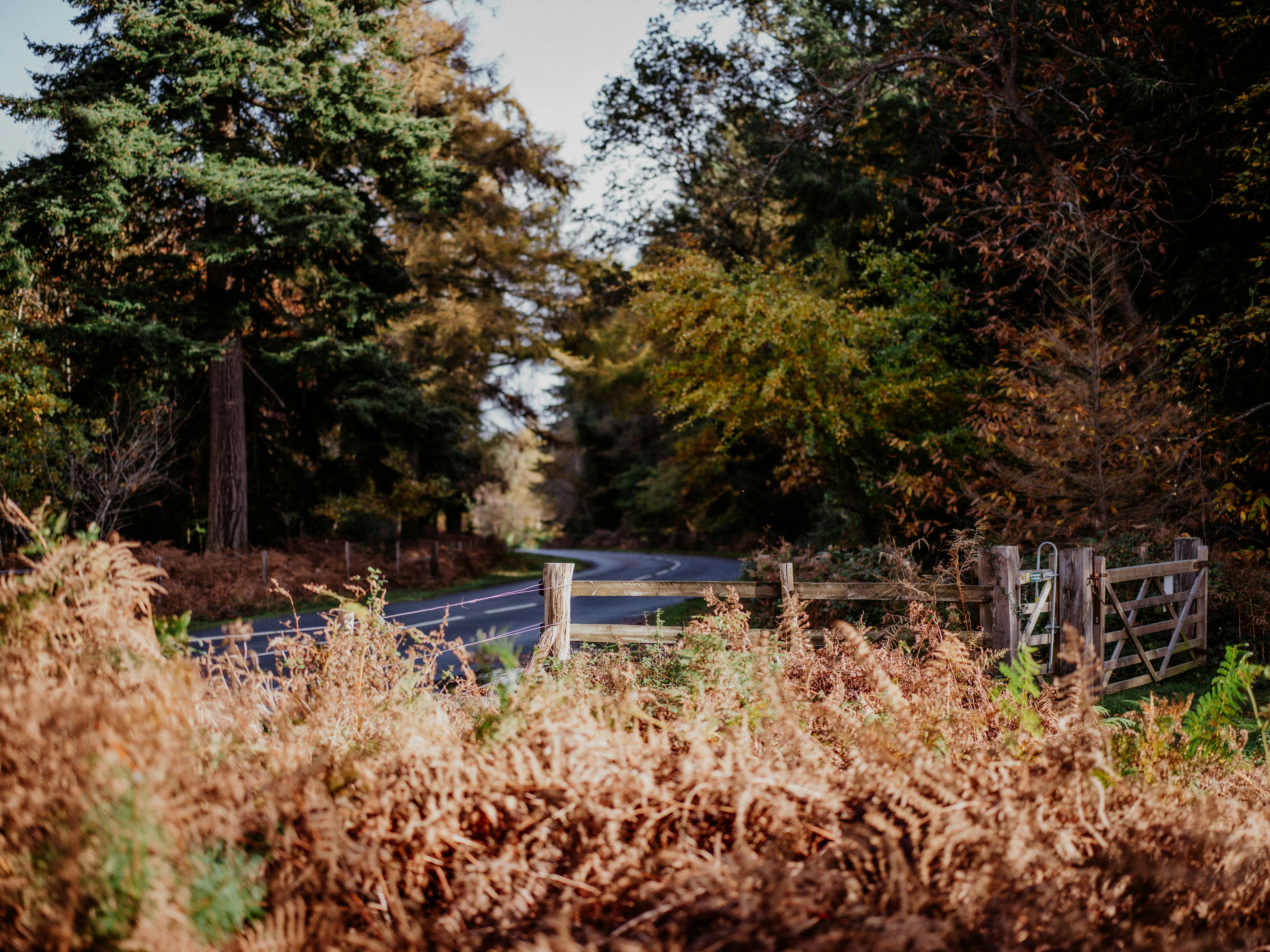 Photo by anniespratt