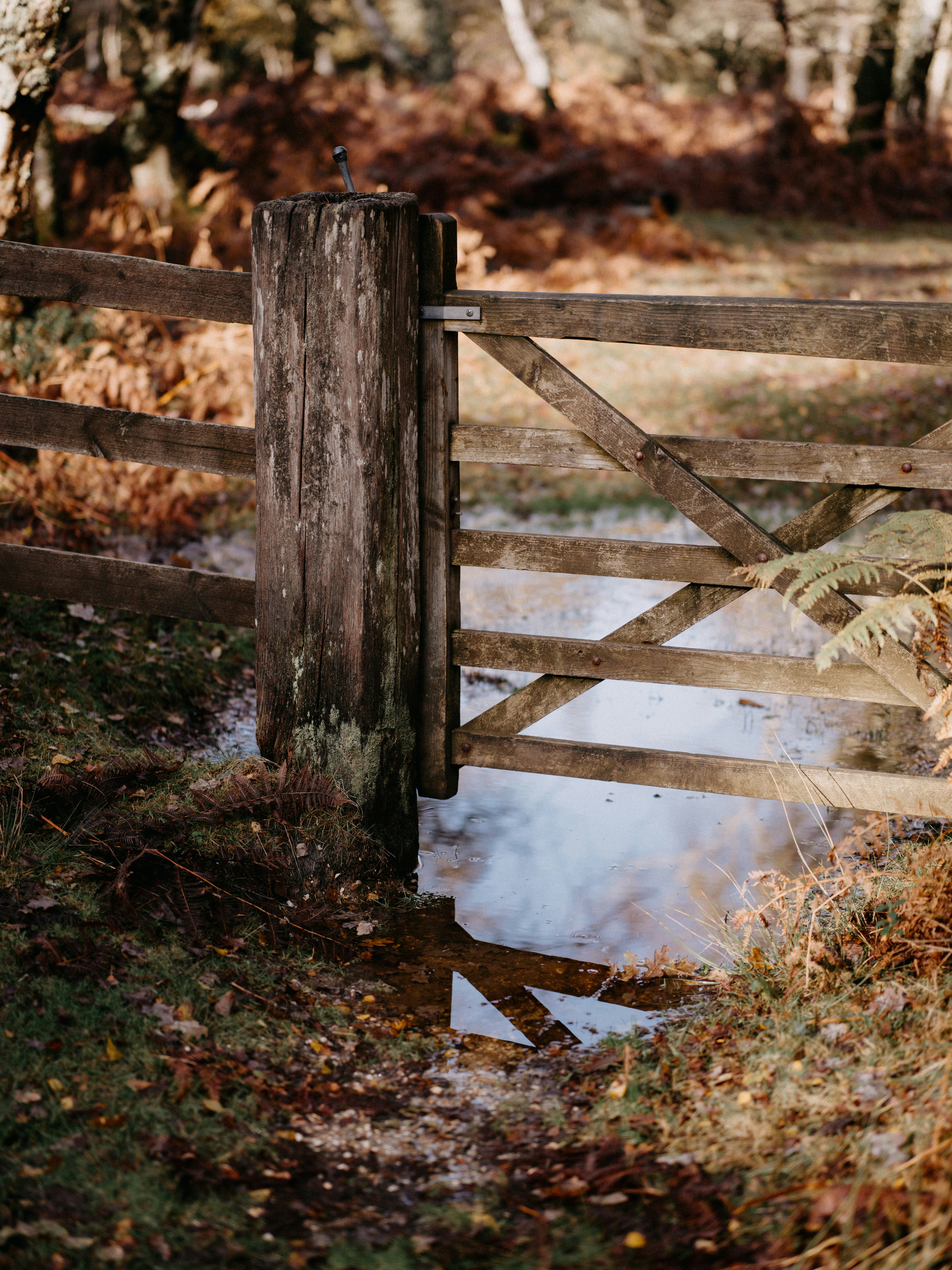 Photo by anniespratt