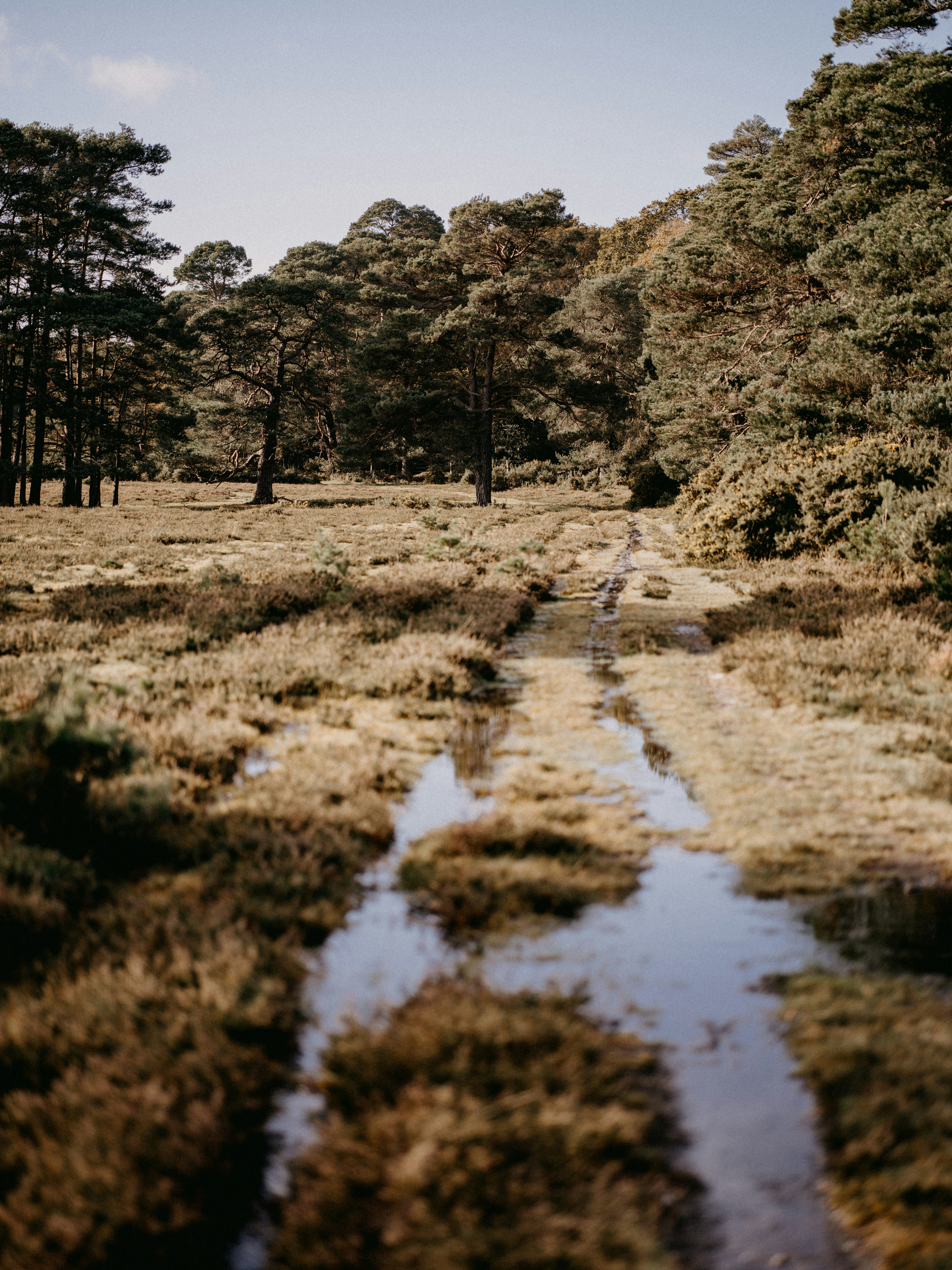 Photo by anniespratt