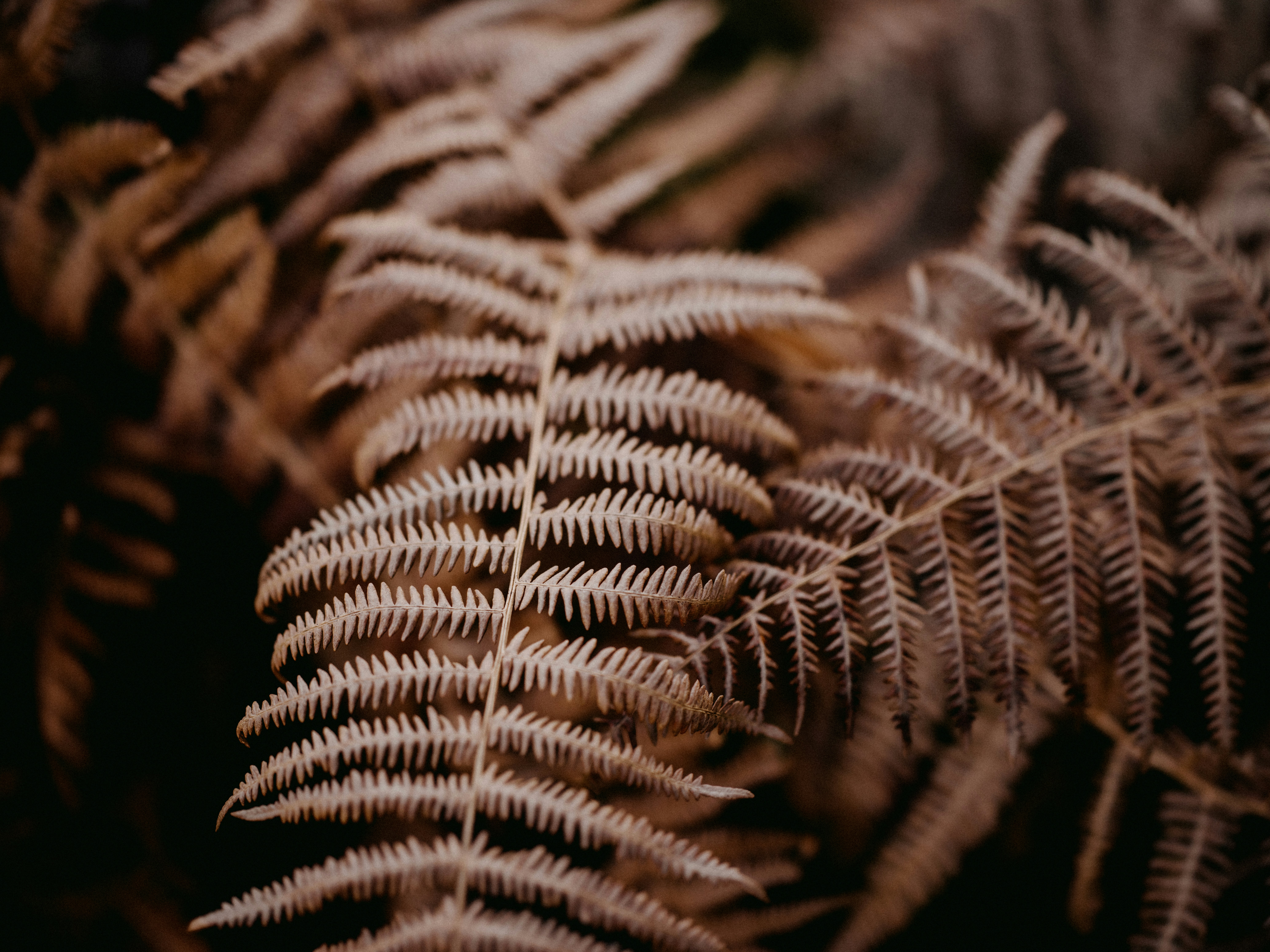 Photo by anniespratt