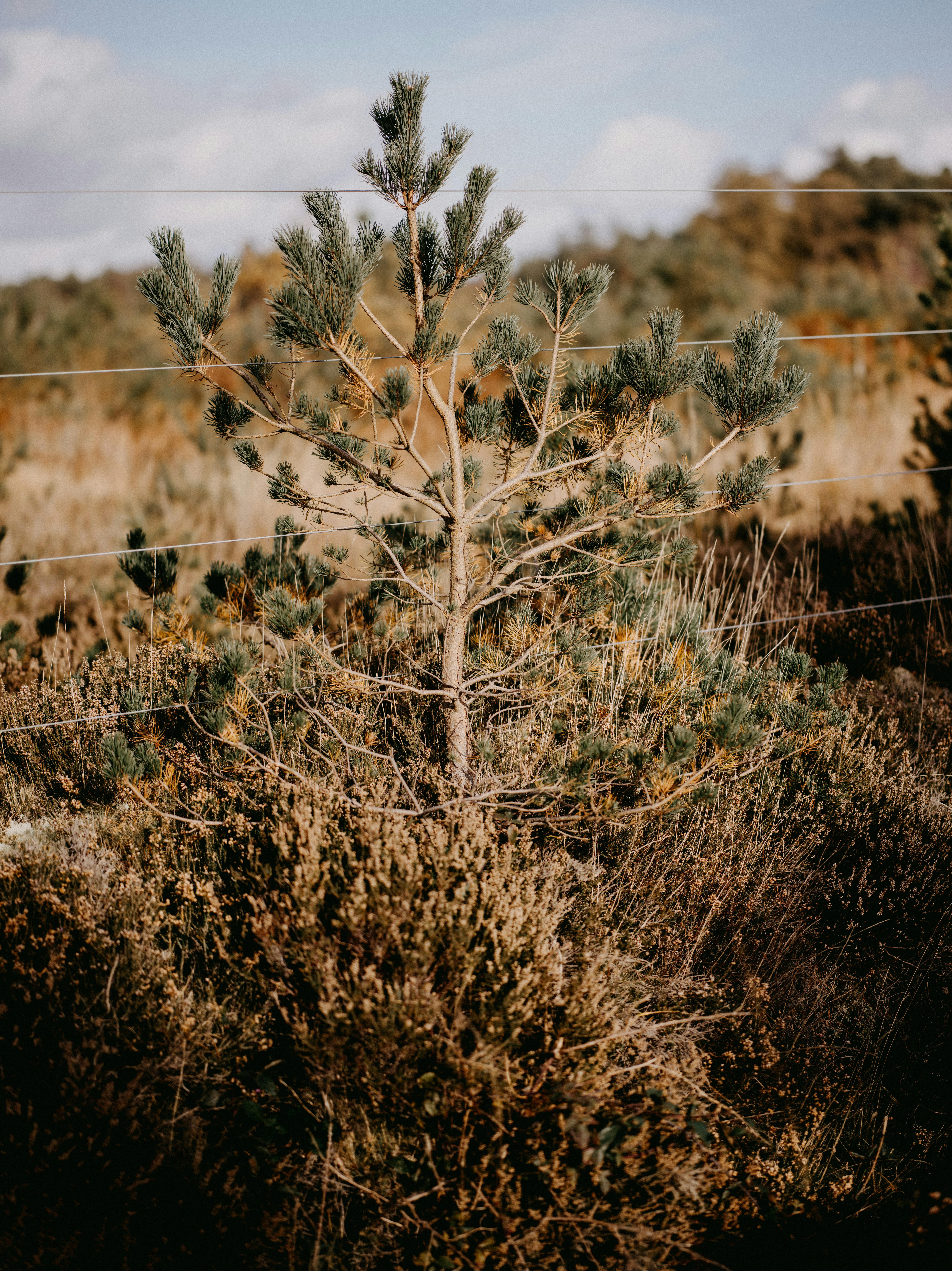 Photo by anniespratt