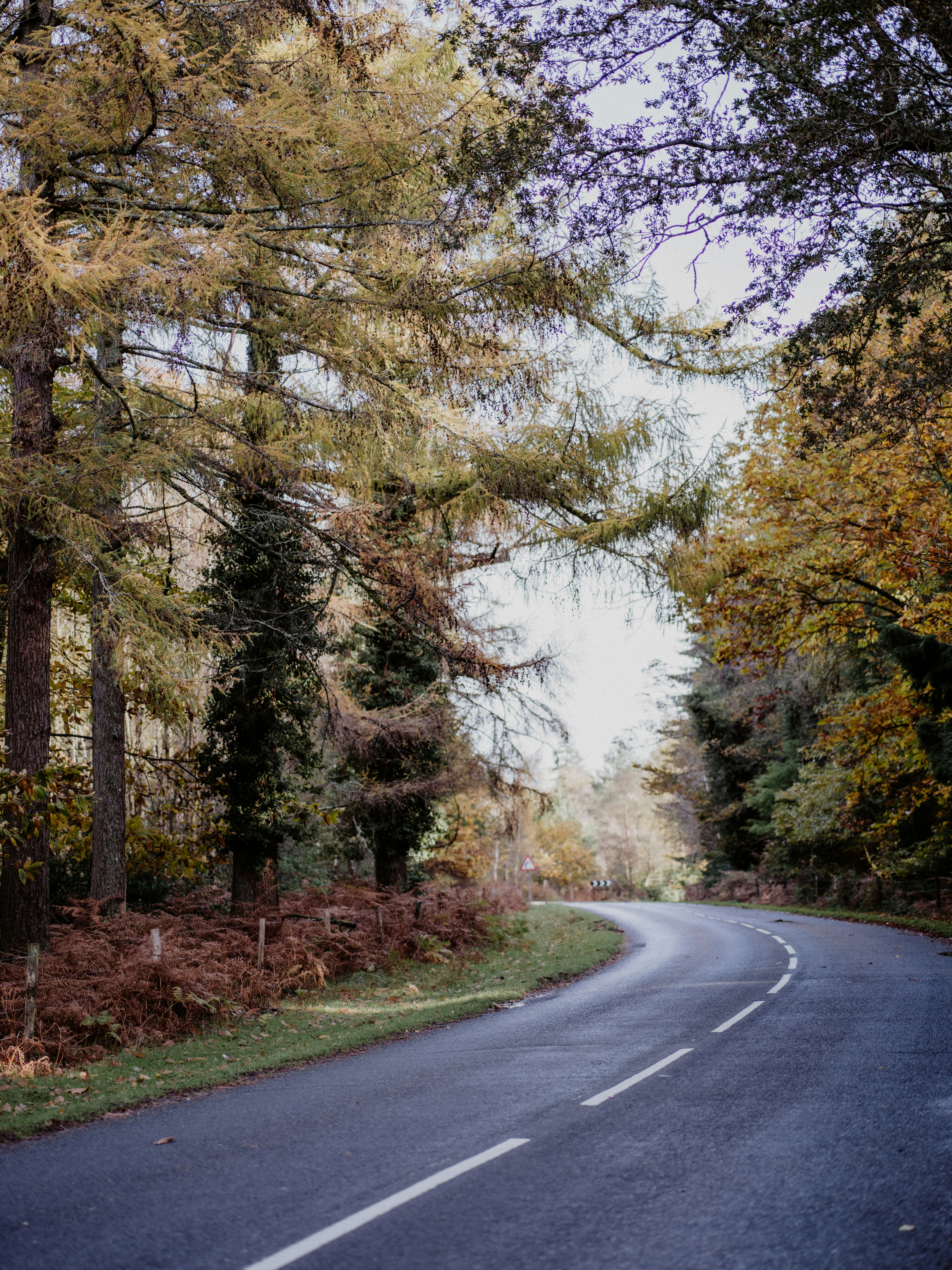 Photo by anniespratt