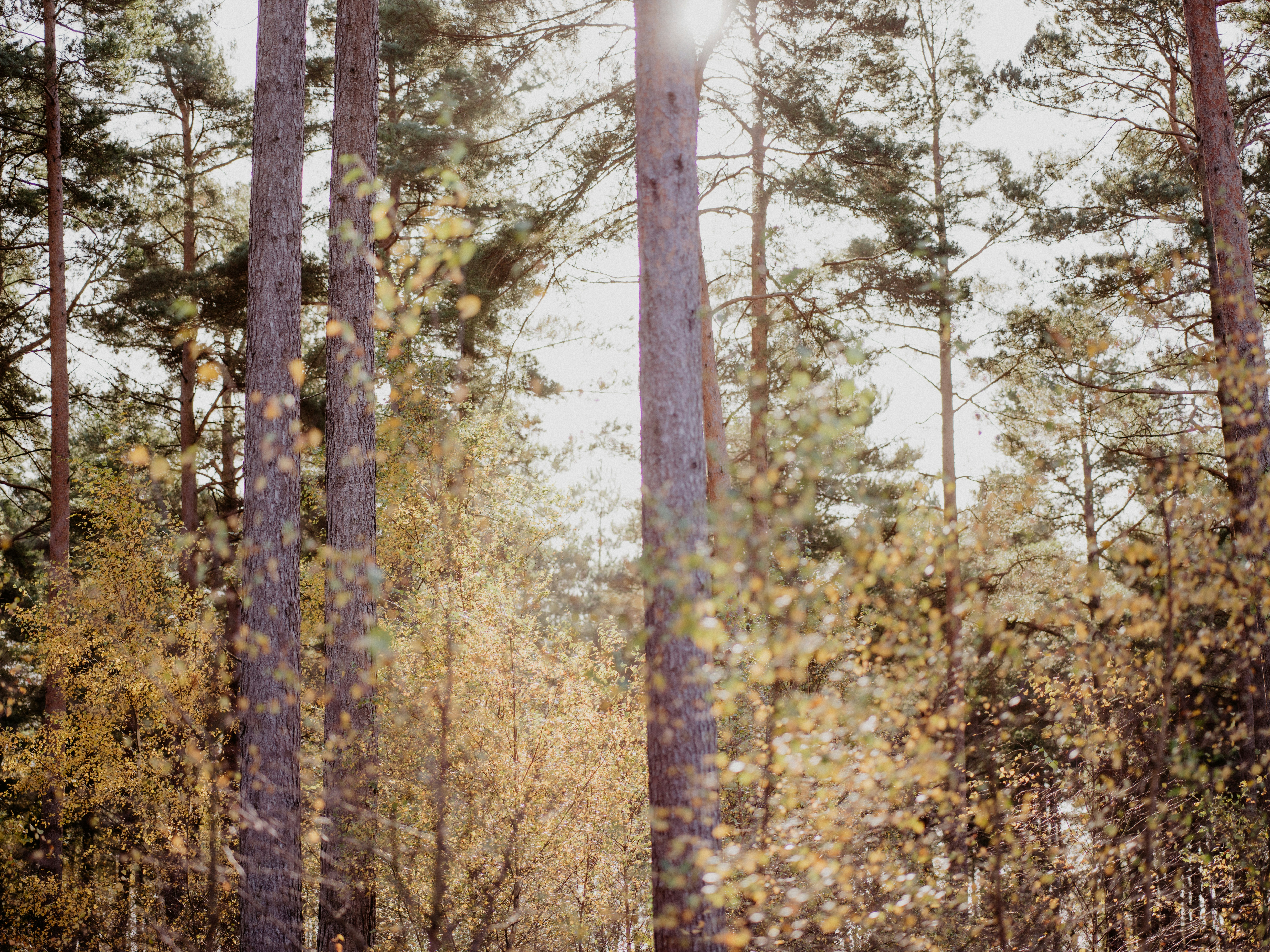 Photo by anniespratt