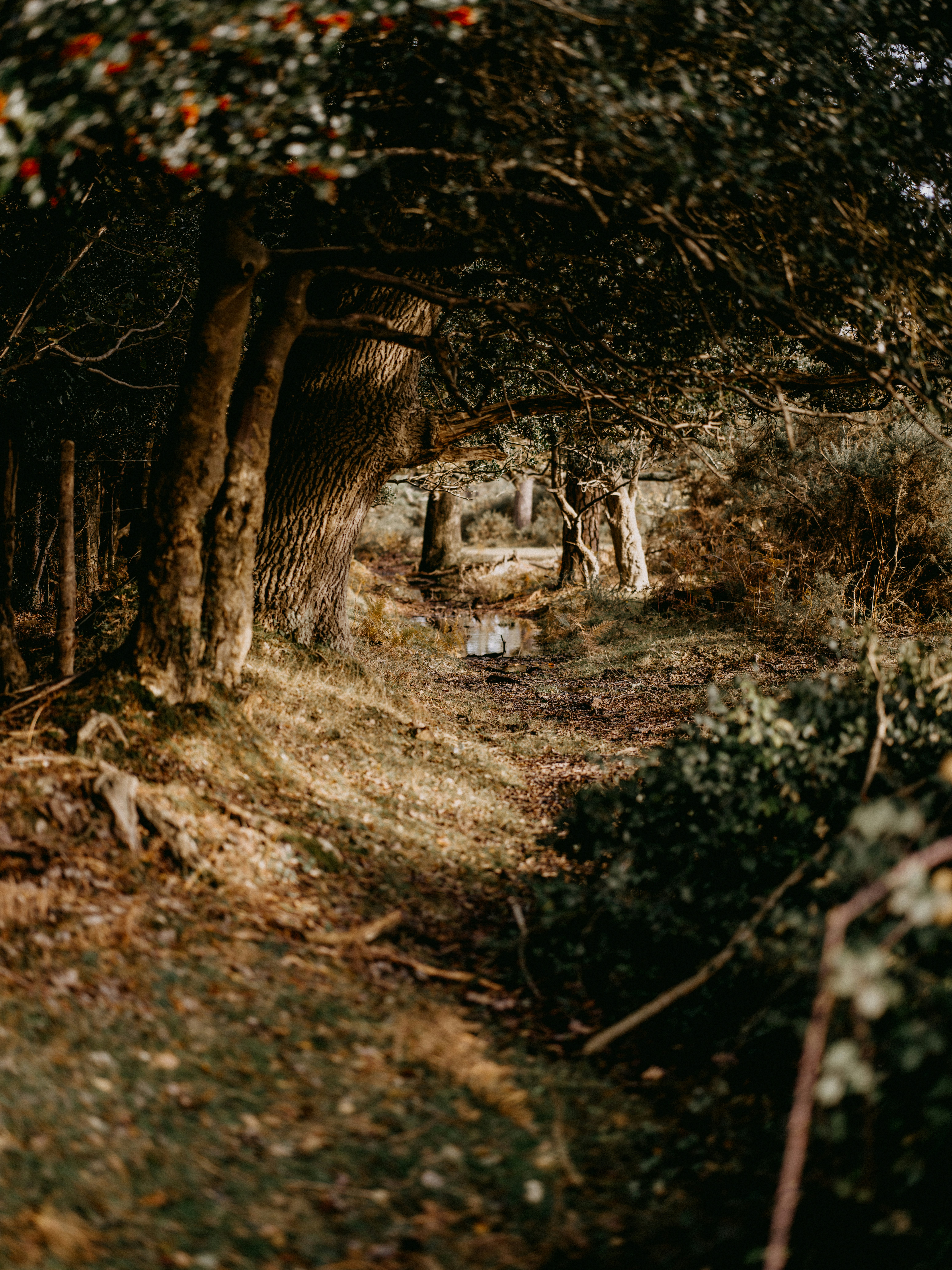 Photo by anniespratt