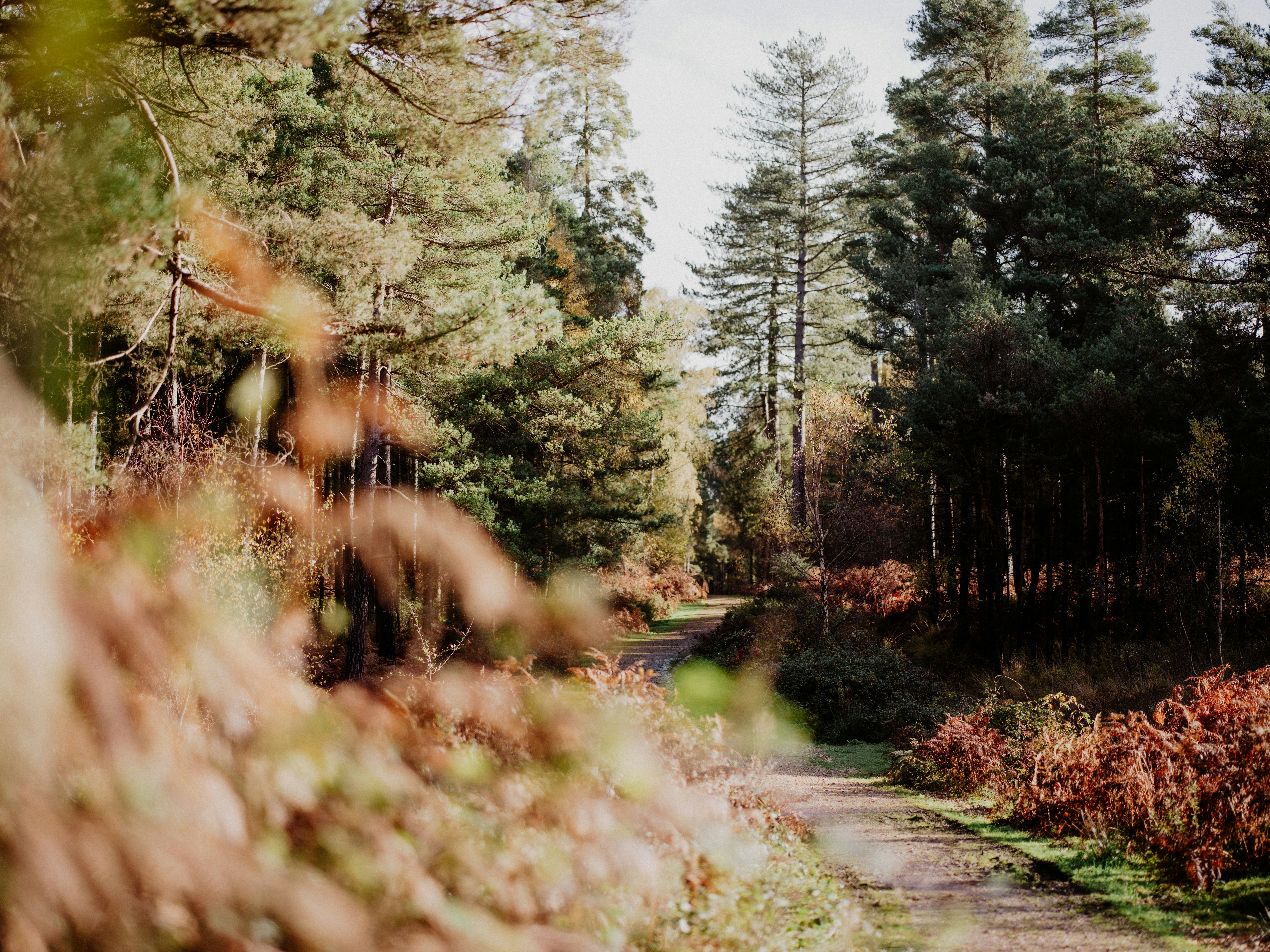 Photo by anniespratt