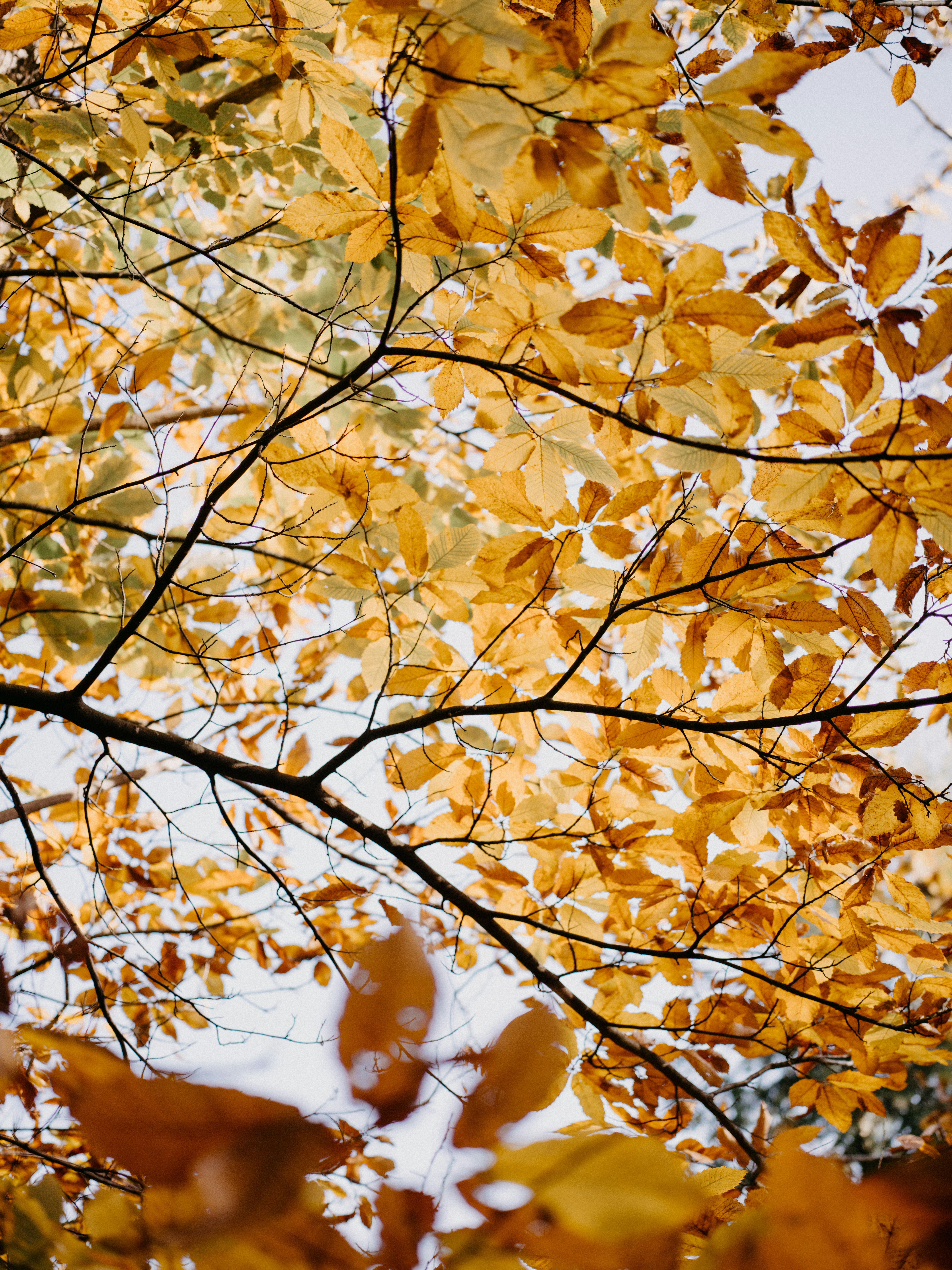 Photo by anniespratt