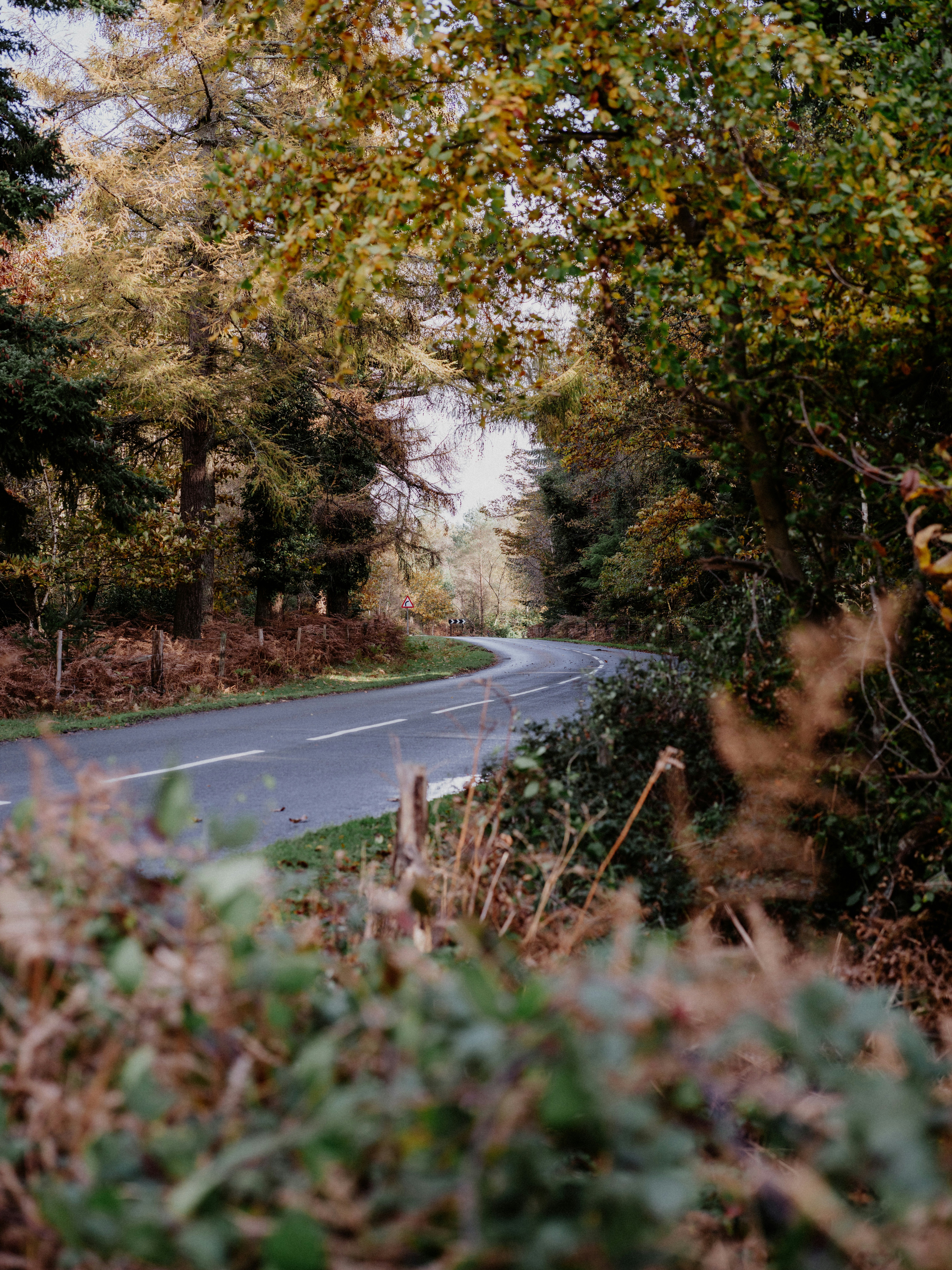 Photo by anniespratt