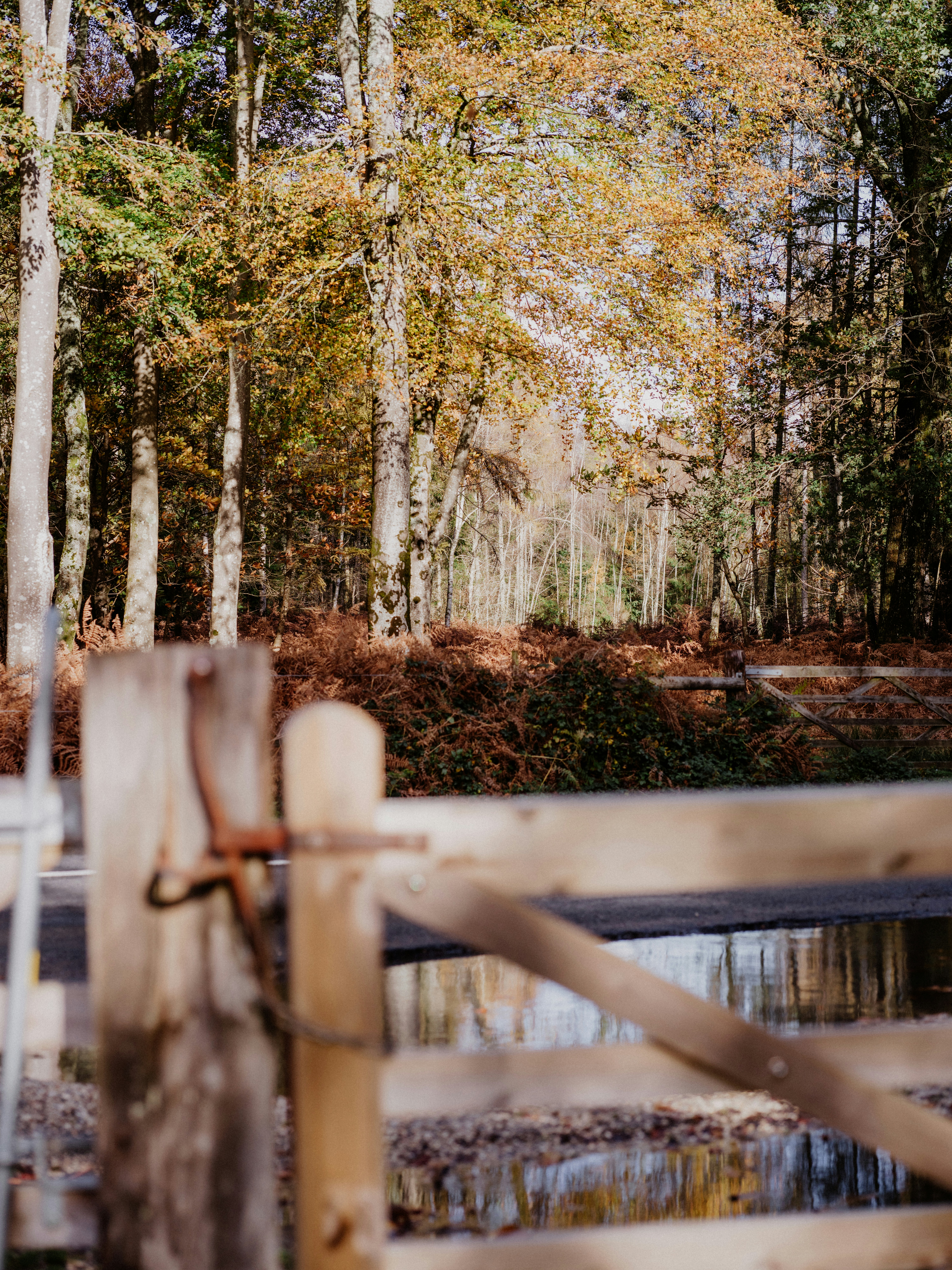 Photo by anniespratt