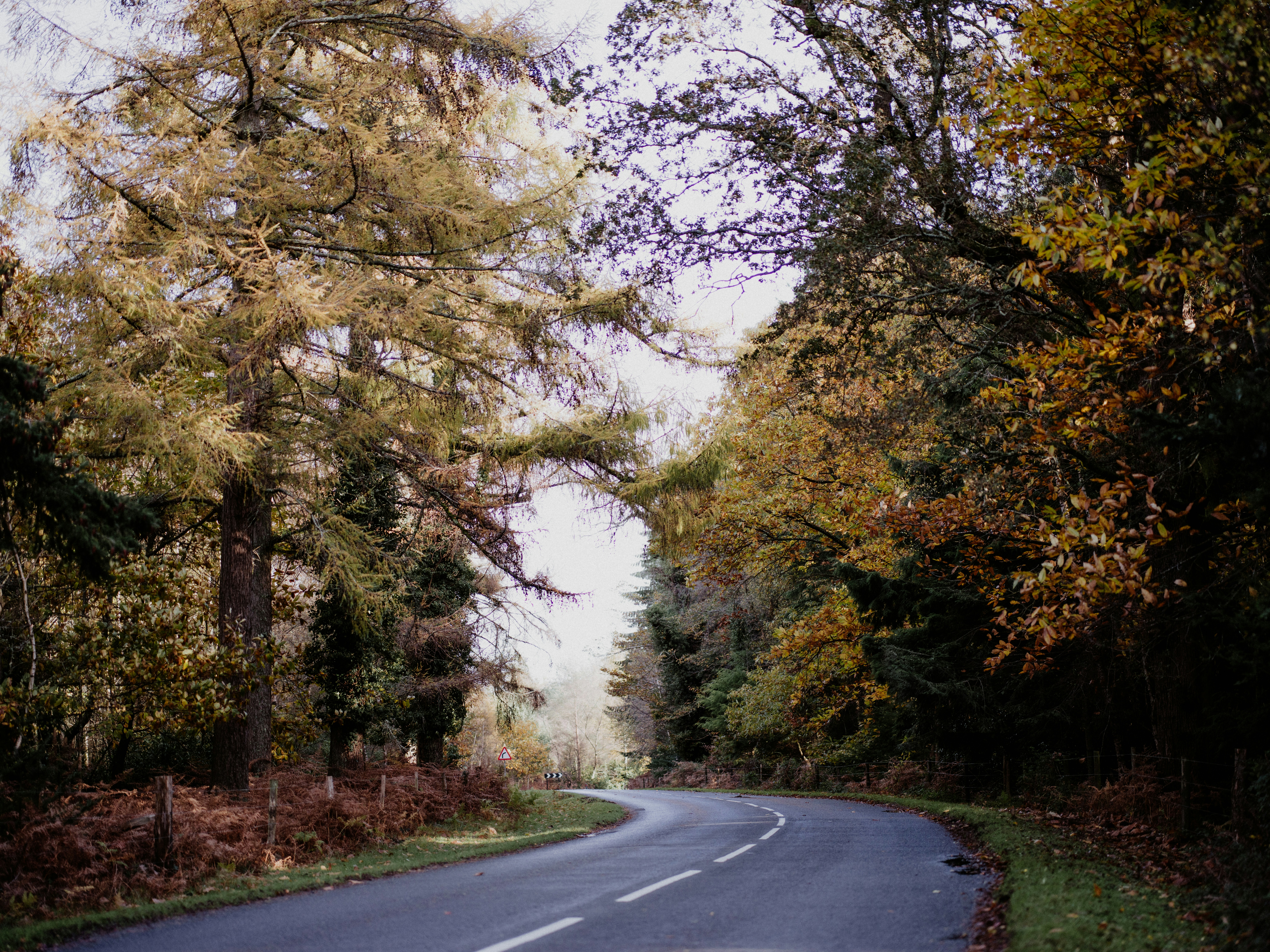 Trivia nights in East Hertfordshire, United Kingdom