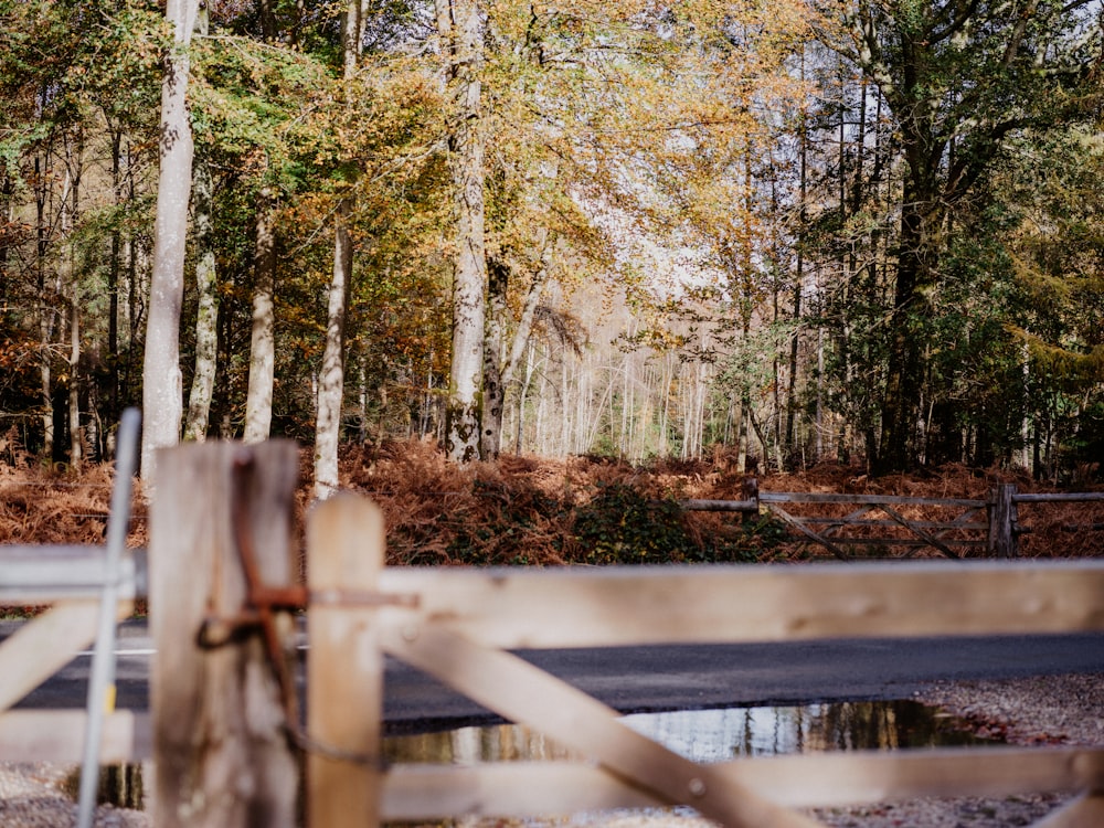 a wooden fence in front of a forest