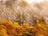 A mountainside covered in dense, colorful autumn foliage with shades of orange, yellow, and red. Mist hangs in the air, partially obscuring the rocky cliff face and the tops of evergreen trees.