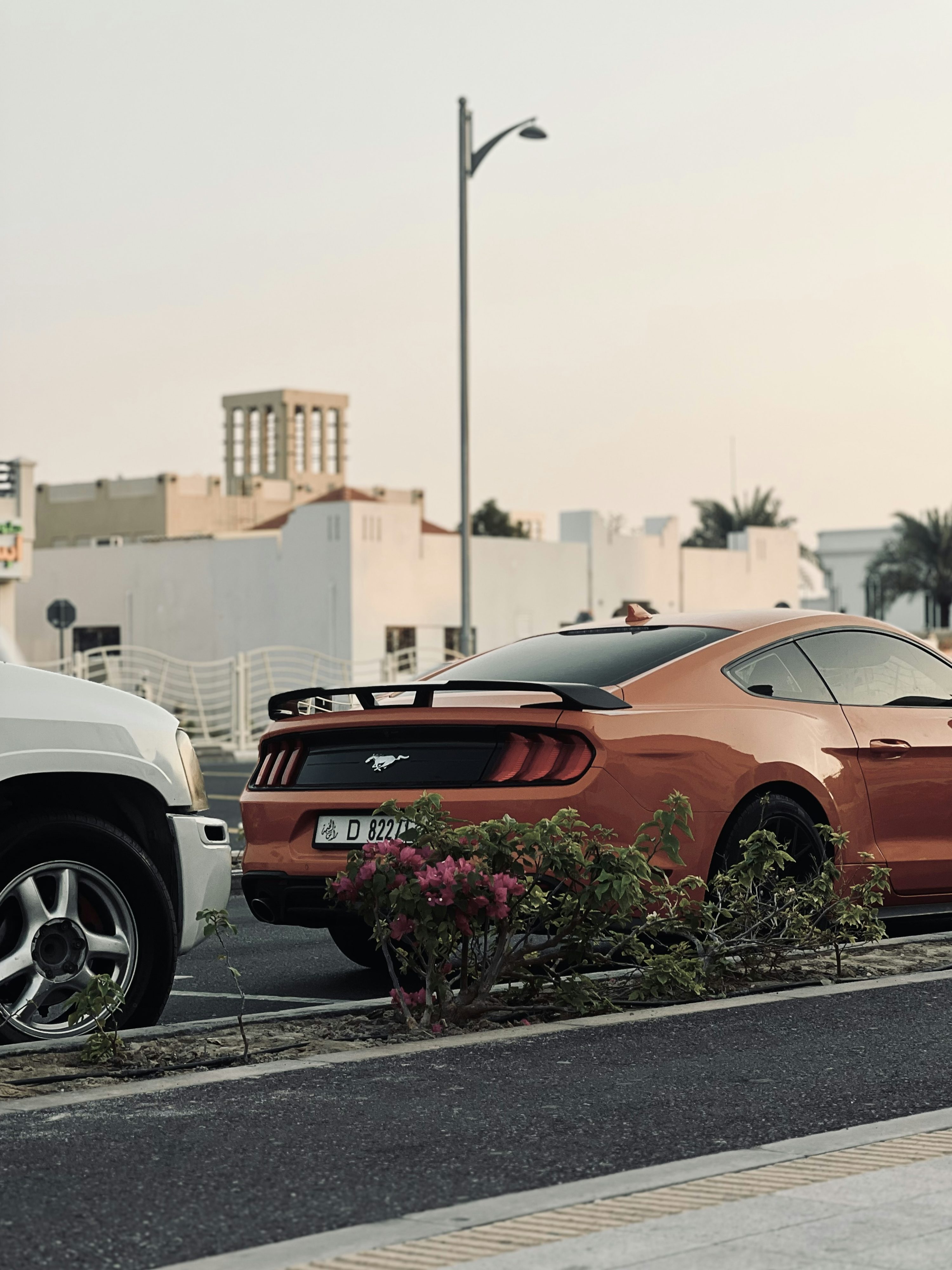 two cars parked on the side of the road