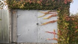 a gate covered in vines next to a building