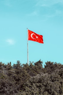 A red flag with a white star and crescent emblem is flying atop a tall flagpole. The flag stands prominently against a clear blue sky above a backdrop of lush green trees.