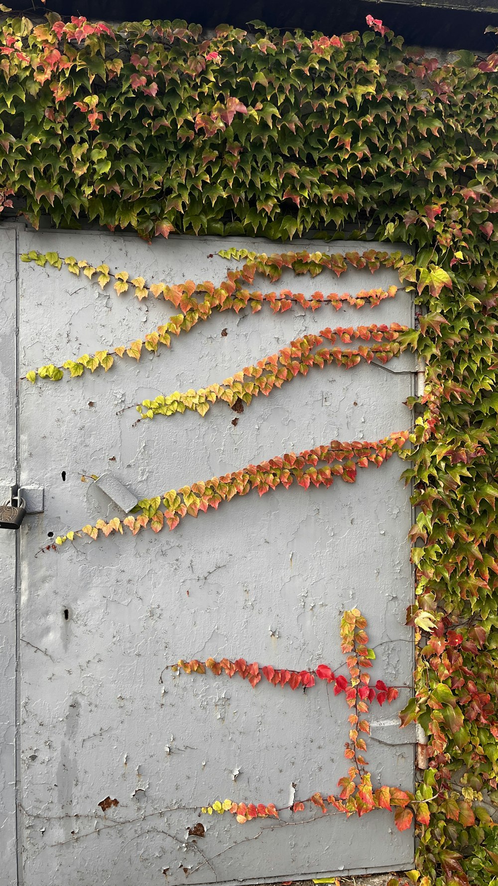 a wall covered in vines and flowers next to a fire hydrant