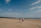 Couple walking hand-in-hand along a golden sandy beach under a bright blue sky
