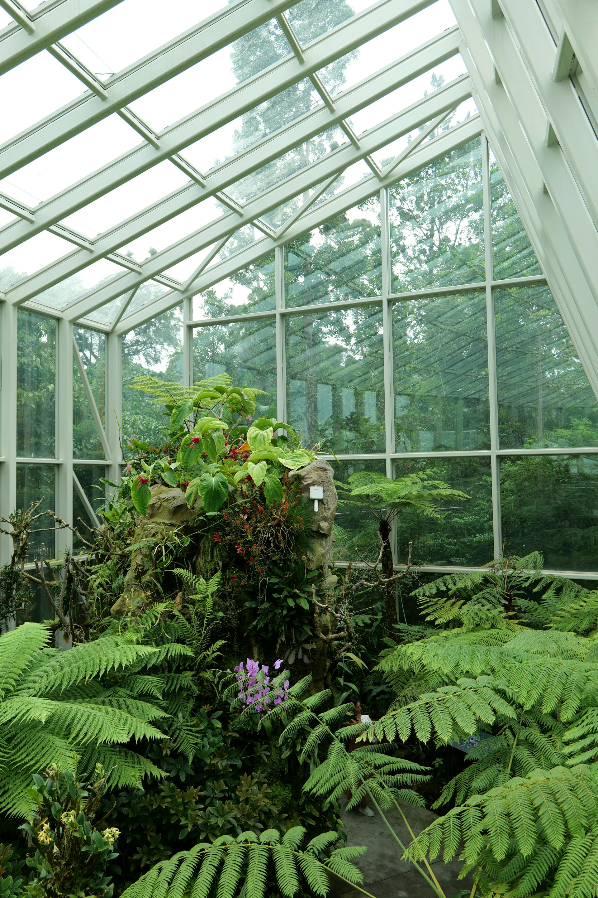 a room filled with lots of plants inside of a building