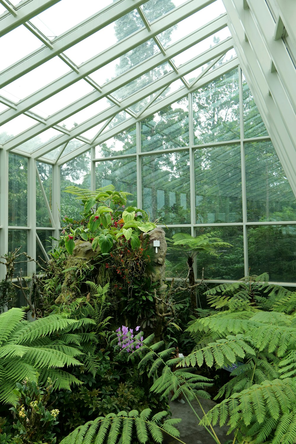 Ein Raum voller Pflanzen in einem Gebäude